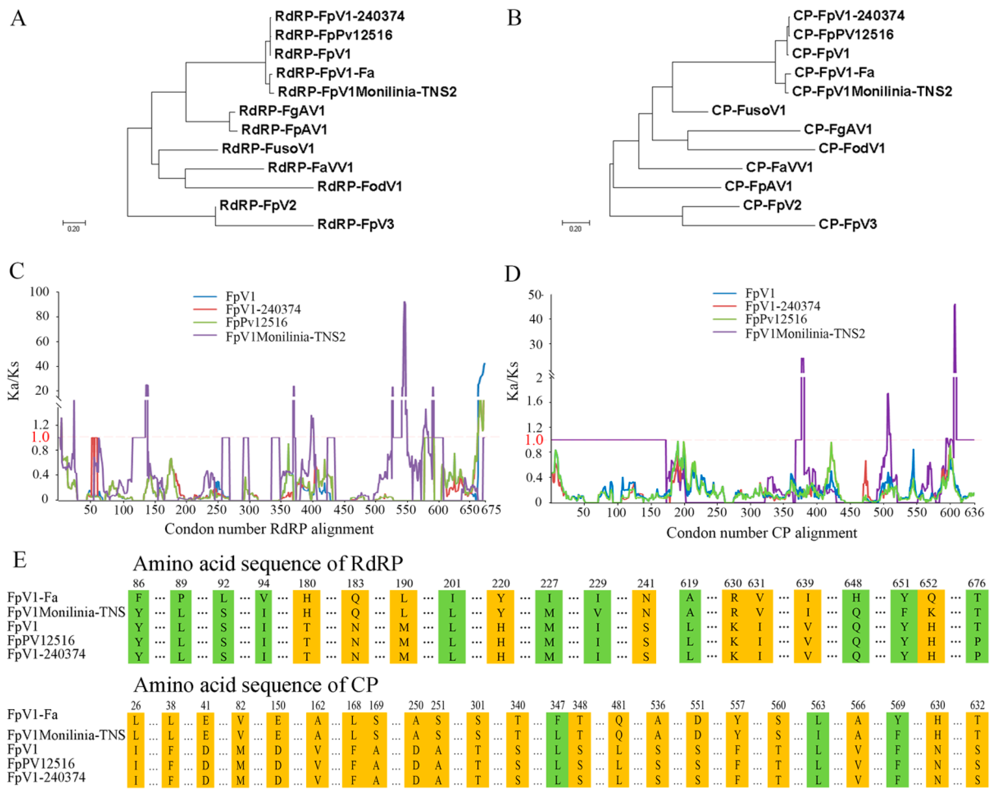 Viruses 14 02246 g004 Viruses 14 02246 g004