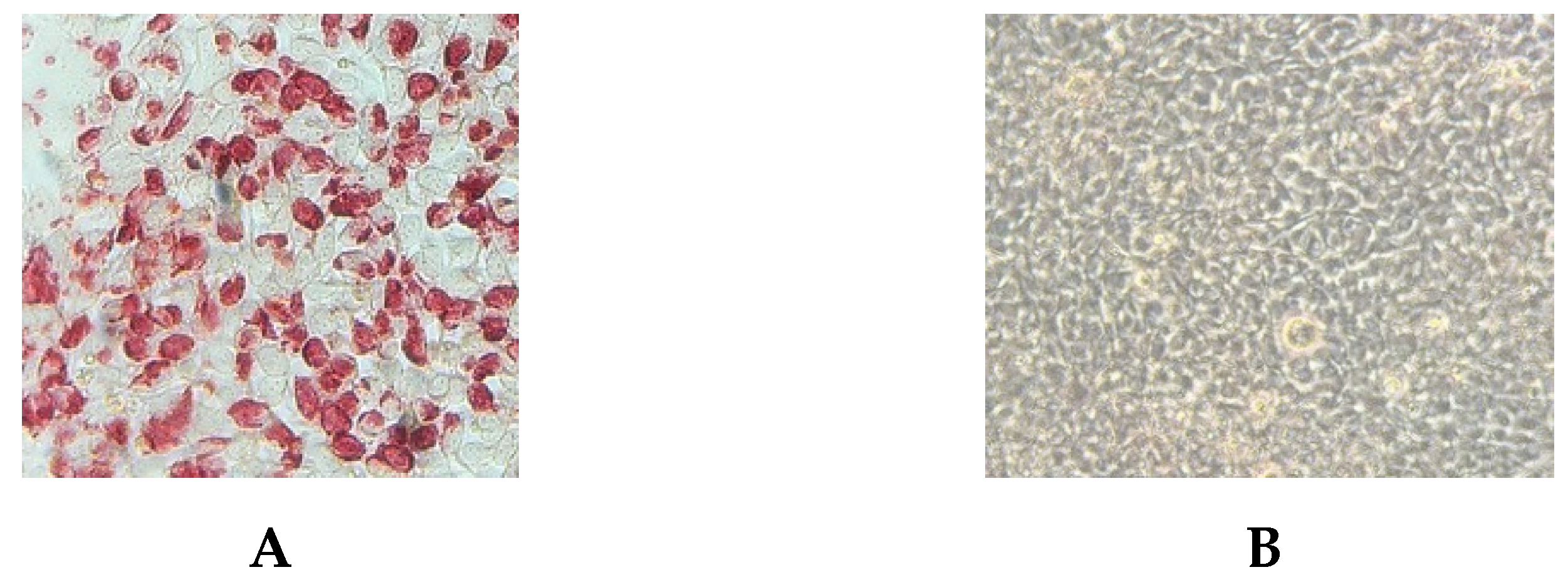 Viruses 14 02250 g002