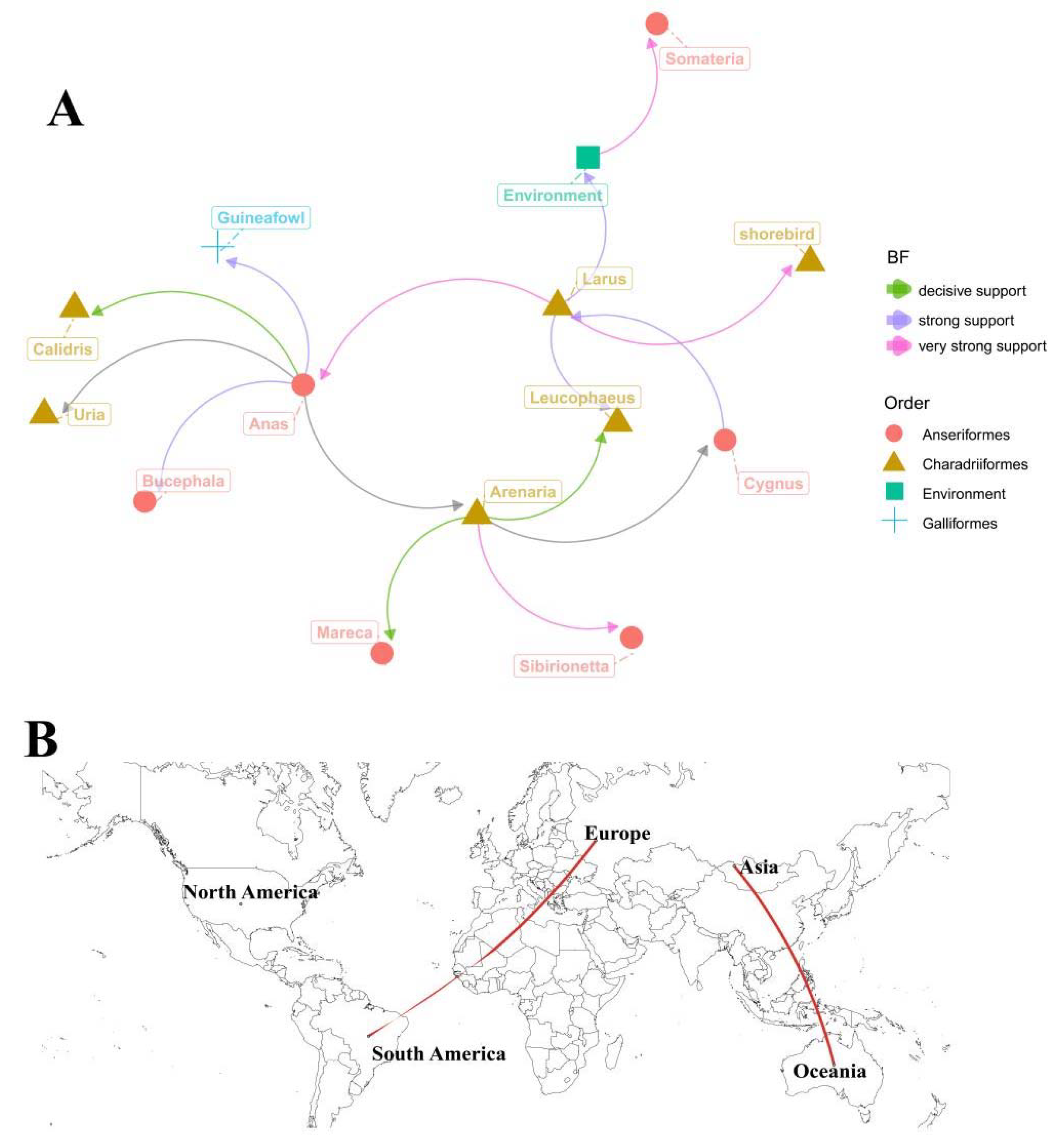 Viruses 14 02251 g004 Viruses 14 02251 g004