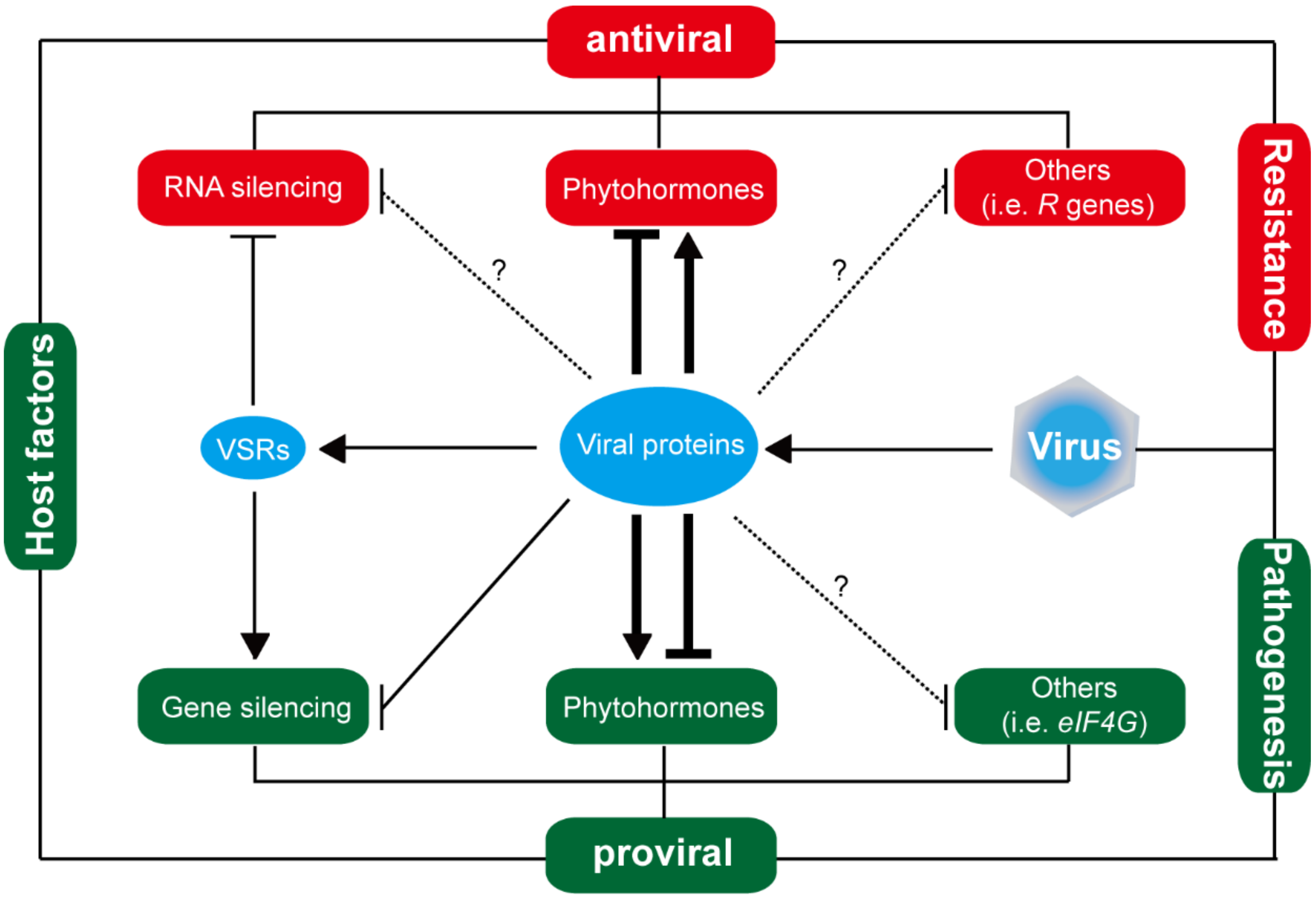 Viruses 14 02258 g002