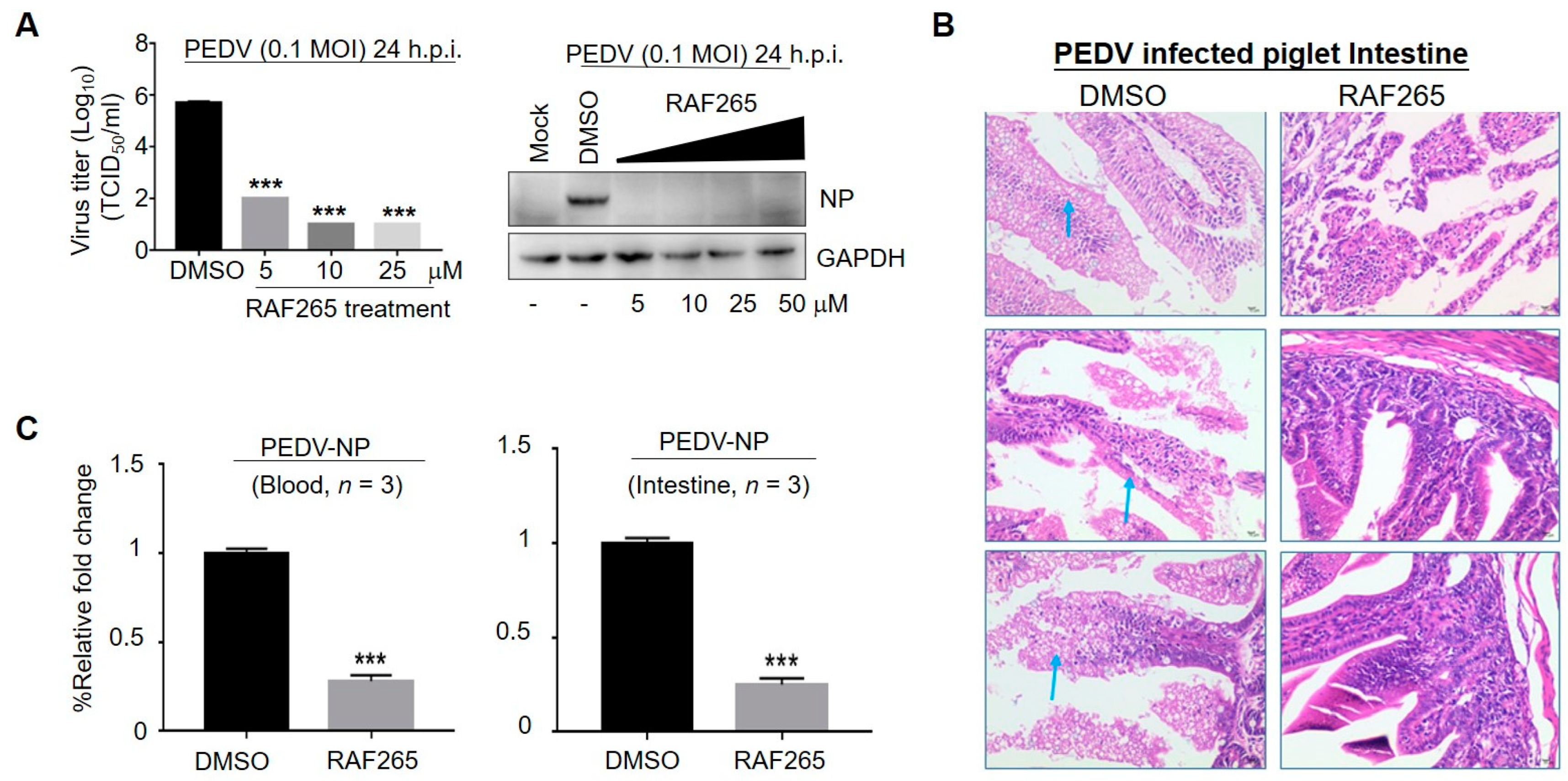 Viruses 14 02261 g001
