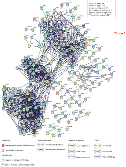 ドラゴンクエスト エクストラパック 第16弾 ちび☆ドラ ｜ Z/X - Zillions of