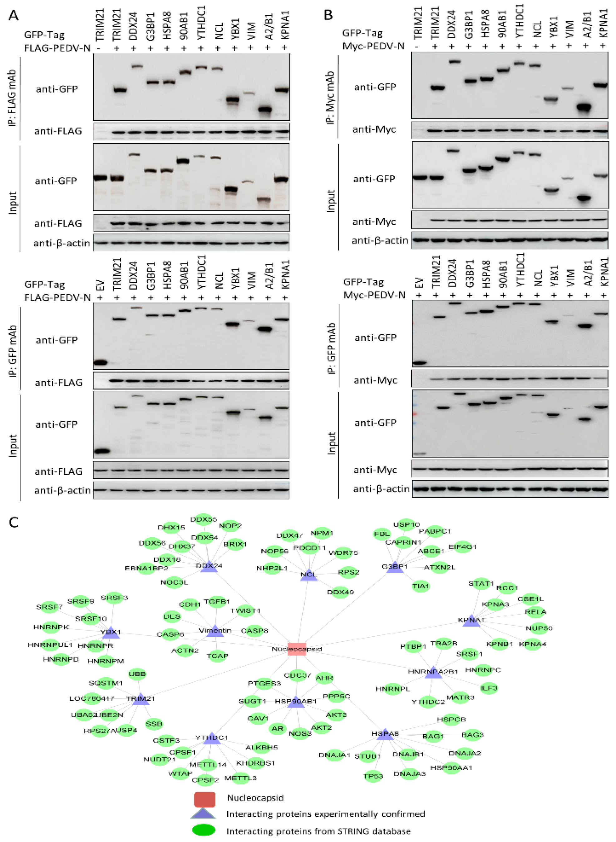 Viruses 14 02269 g005 Viruses 14 02269 g005