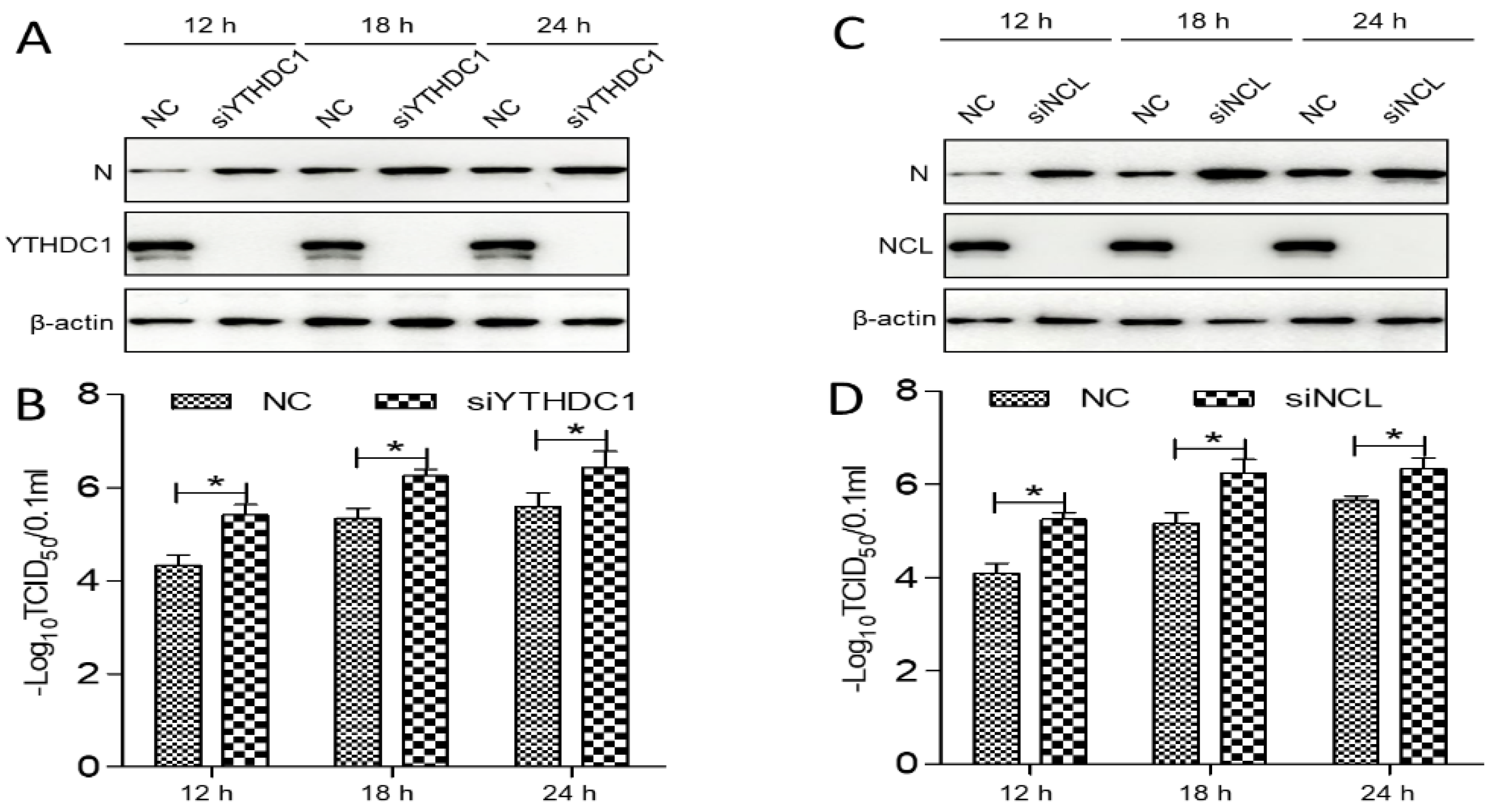 Viruses 14 02269 g007 Viruses 14 02269 g007