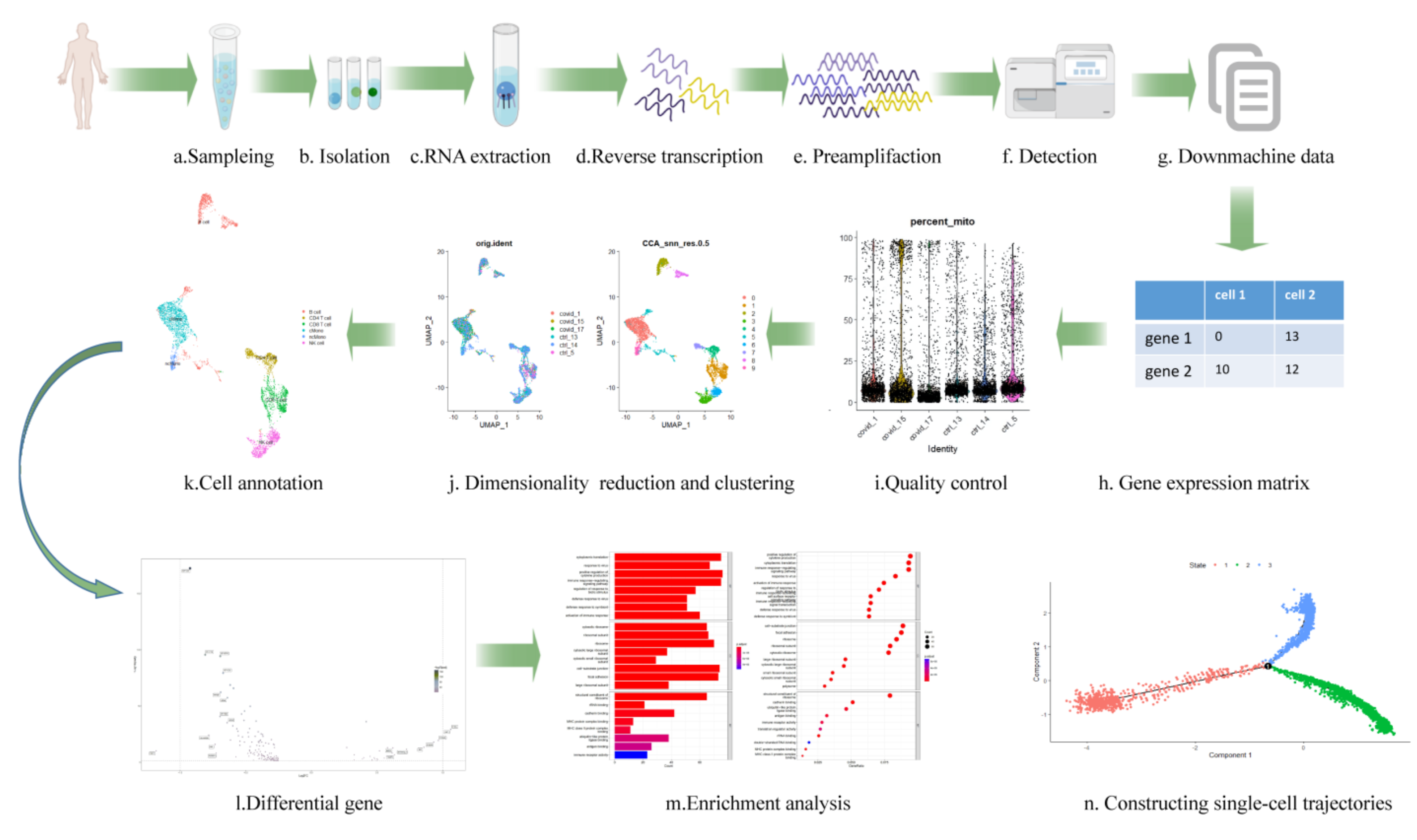 Viruses 14 02271 g001 Viruses 14 02271 g001