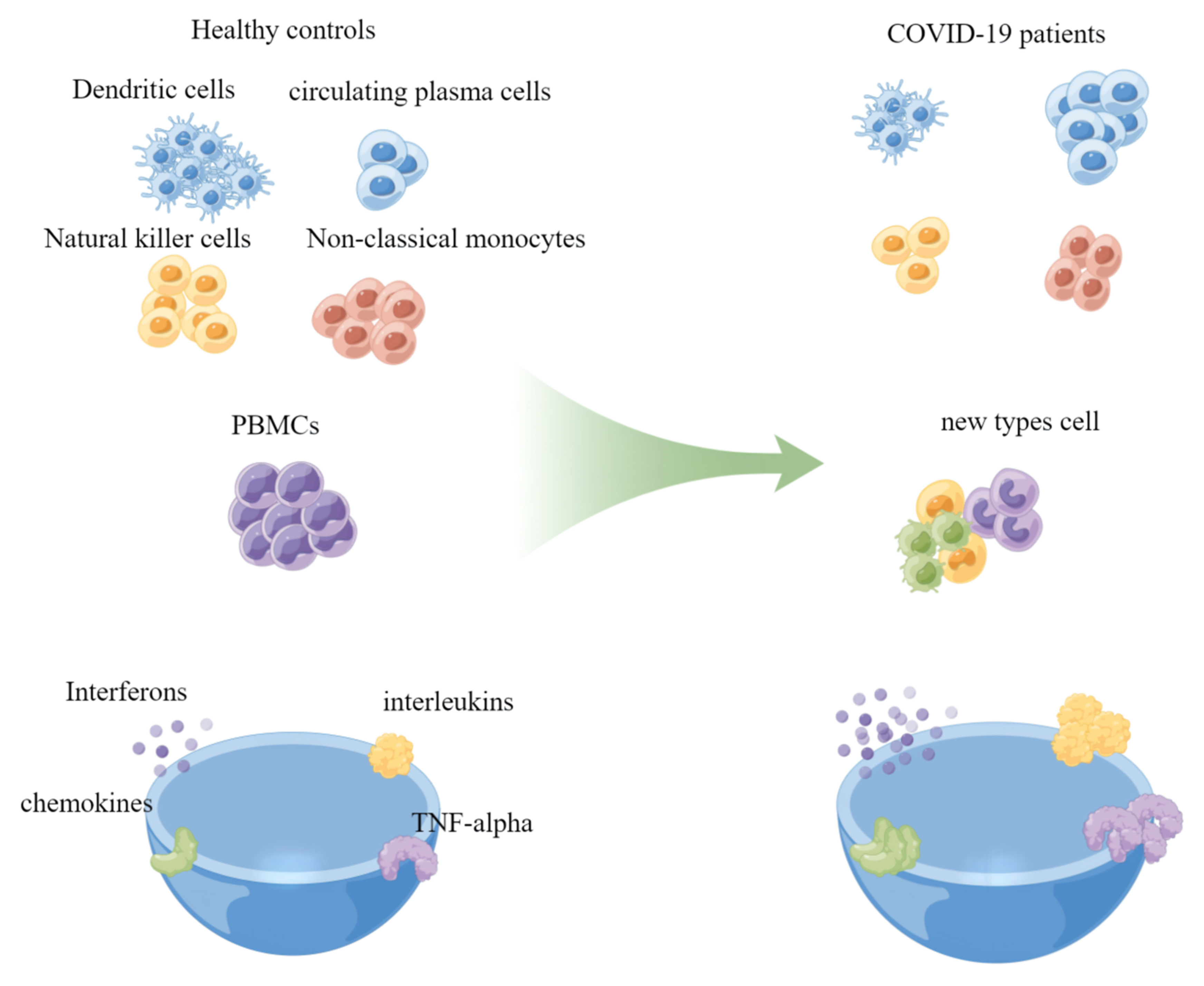 Viruses 14 02271 g003 Viruses 14 02271 g003