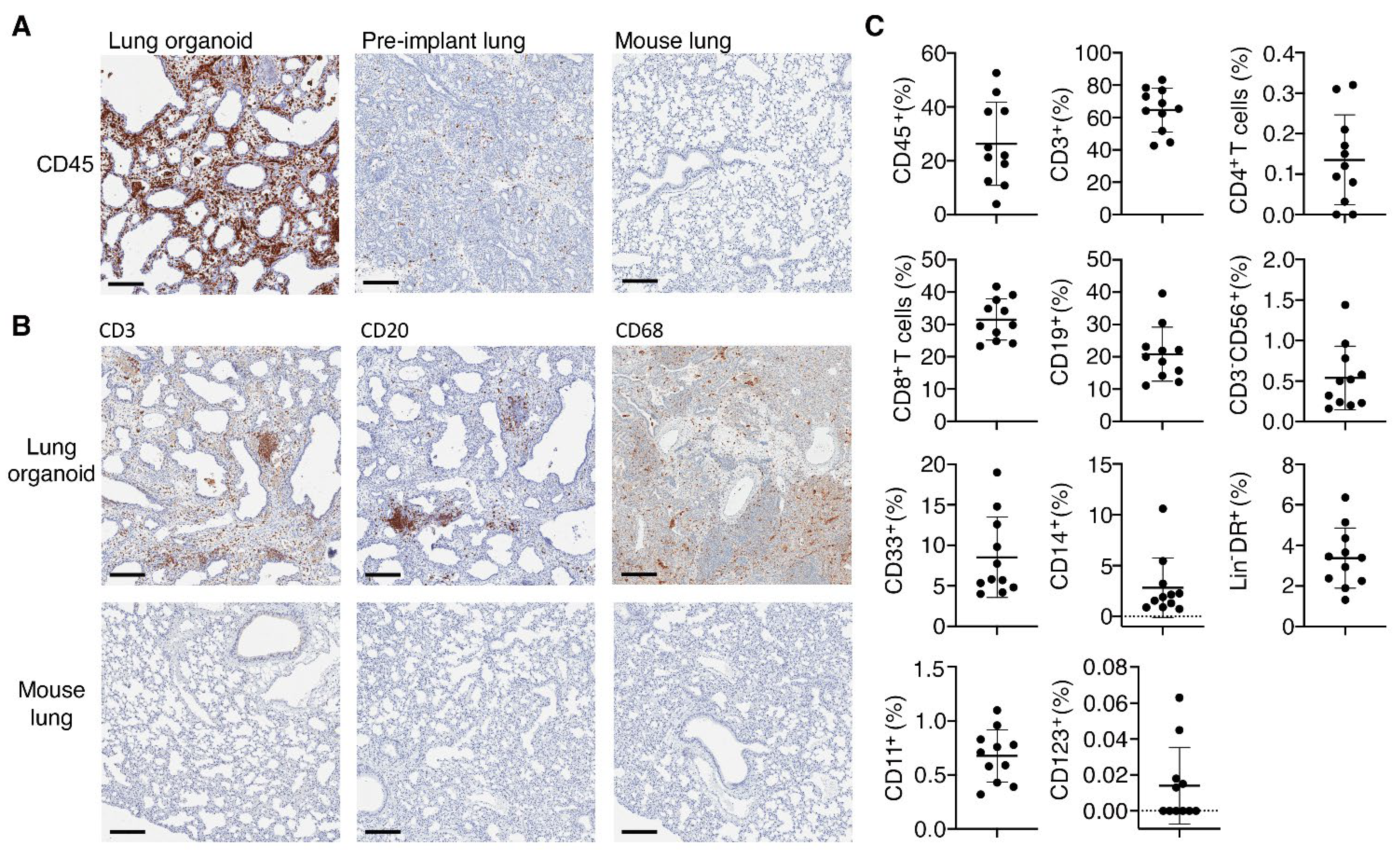 Viruses 14 02272 g003 Viruses 14 02272 g003