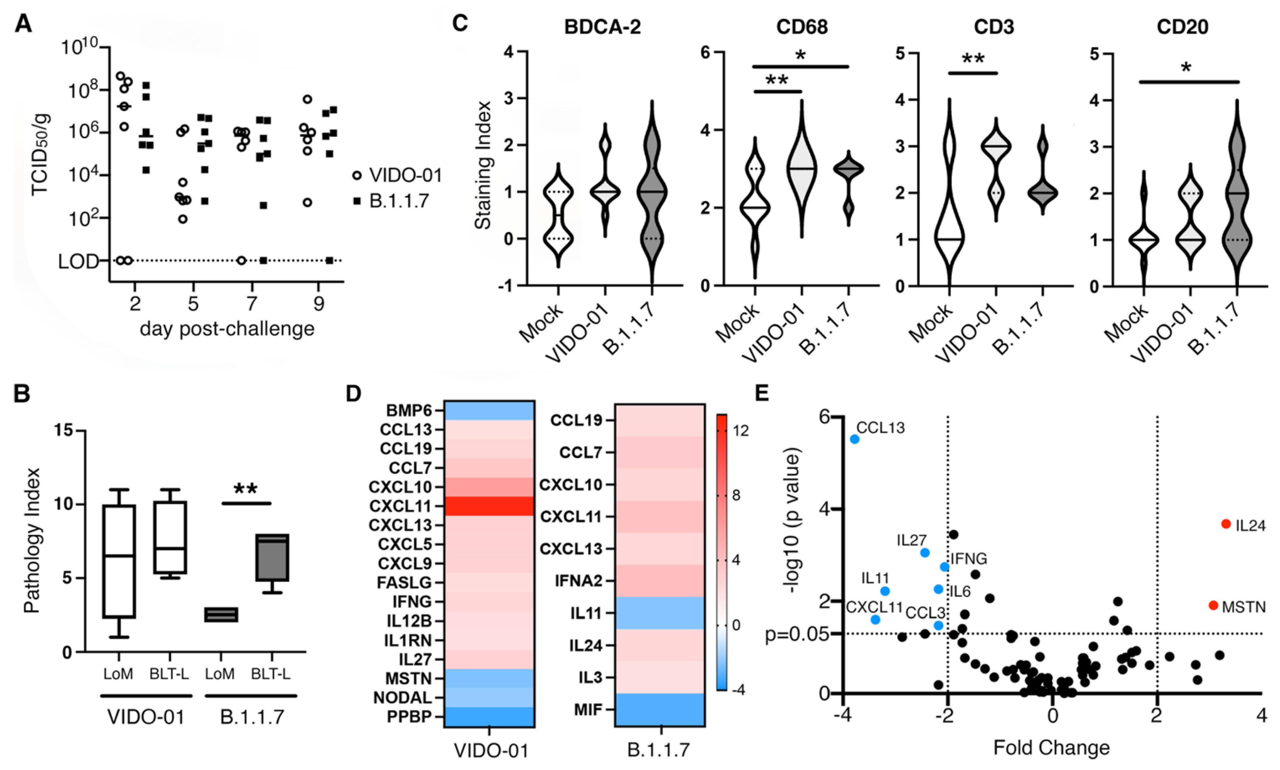 Viruses 14 02272 g005 Viruses 14 02272 g005