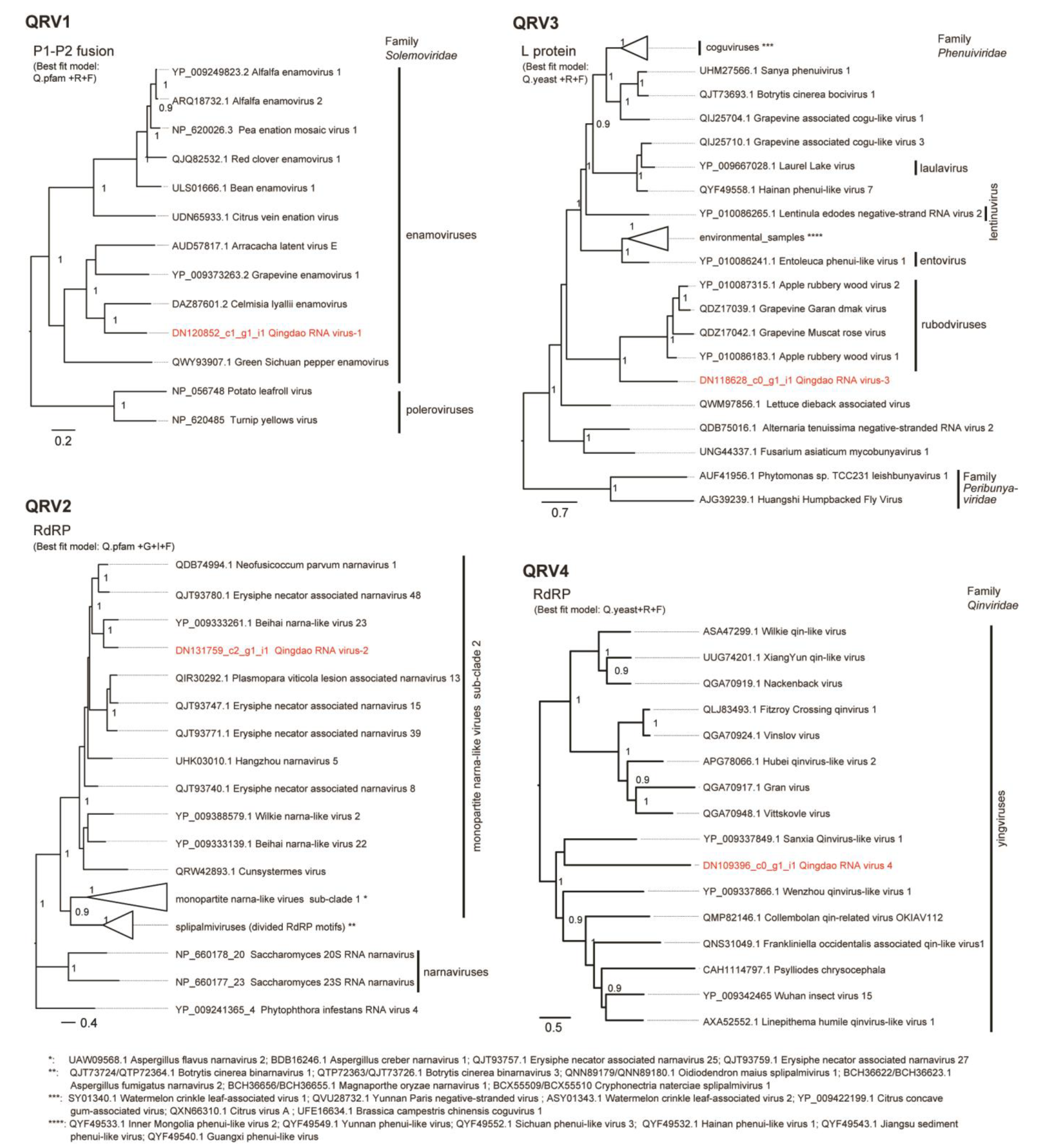 Viruses 14 02279 g004 Viruses 14 02279 g004