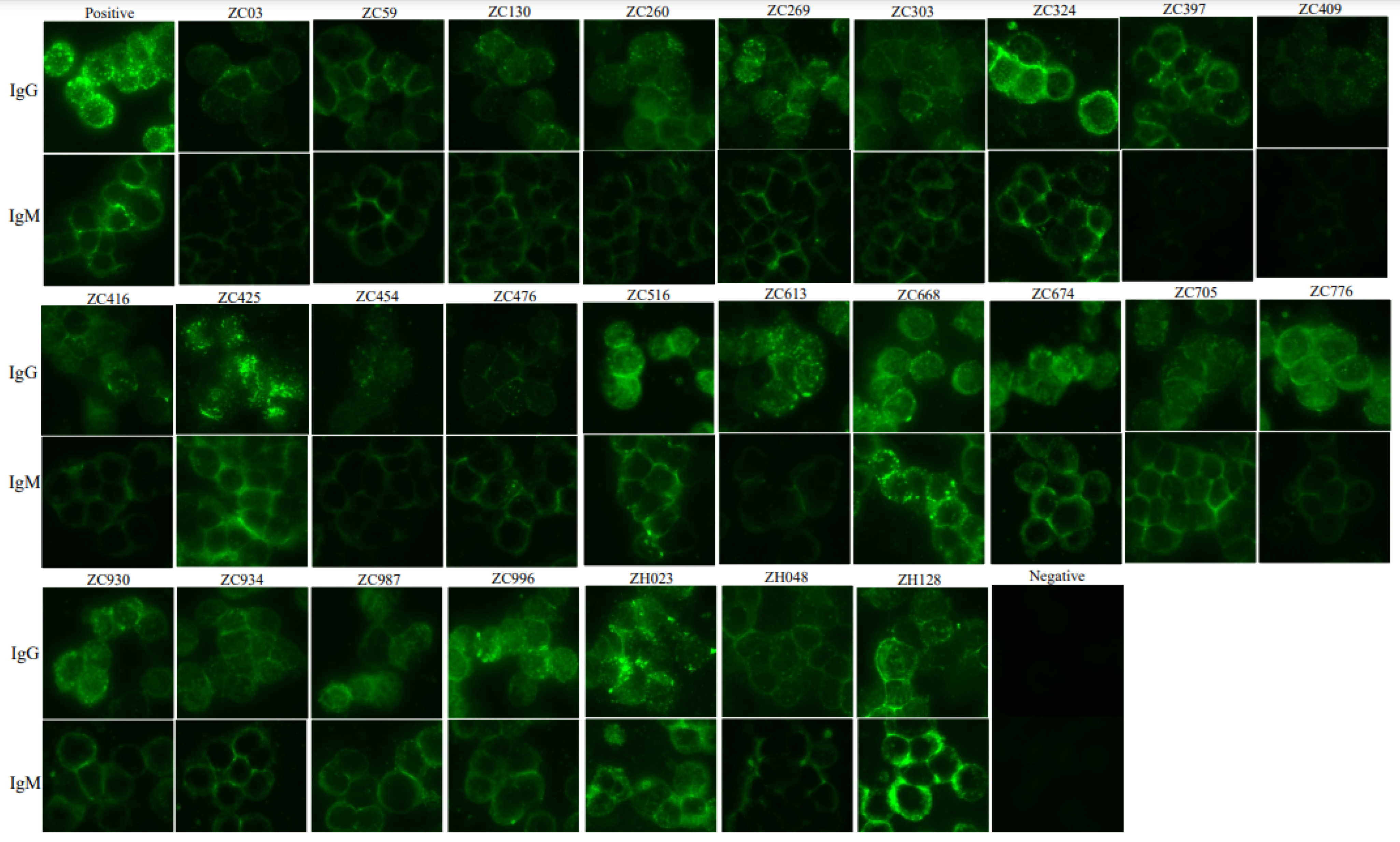 Viruses 14 02280 g001 Viruses 14 02280 g001