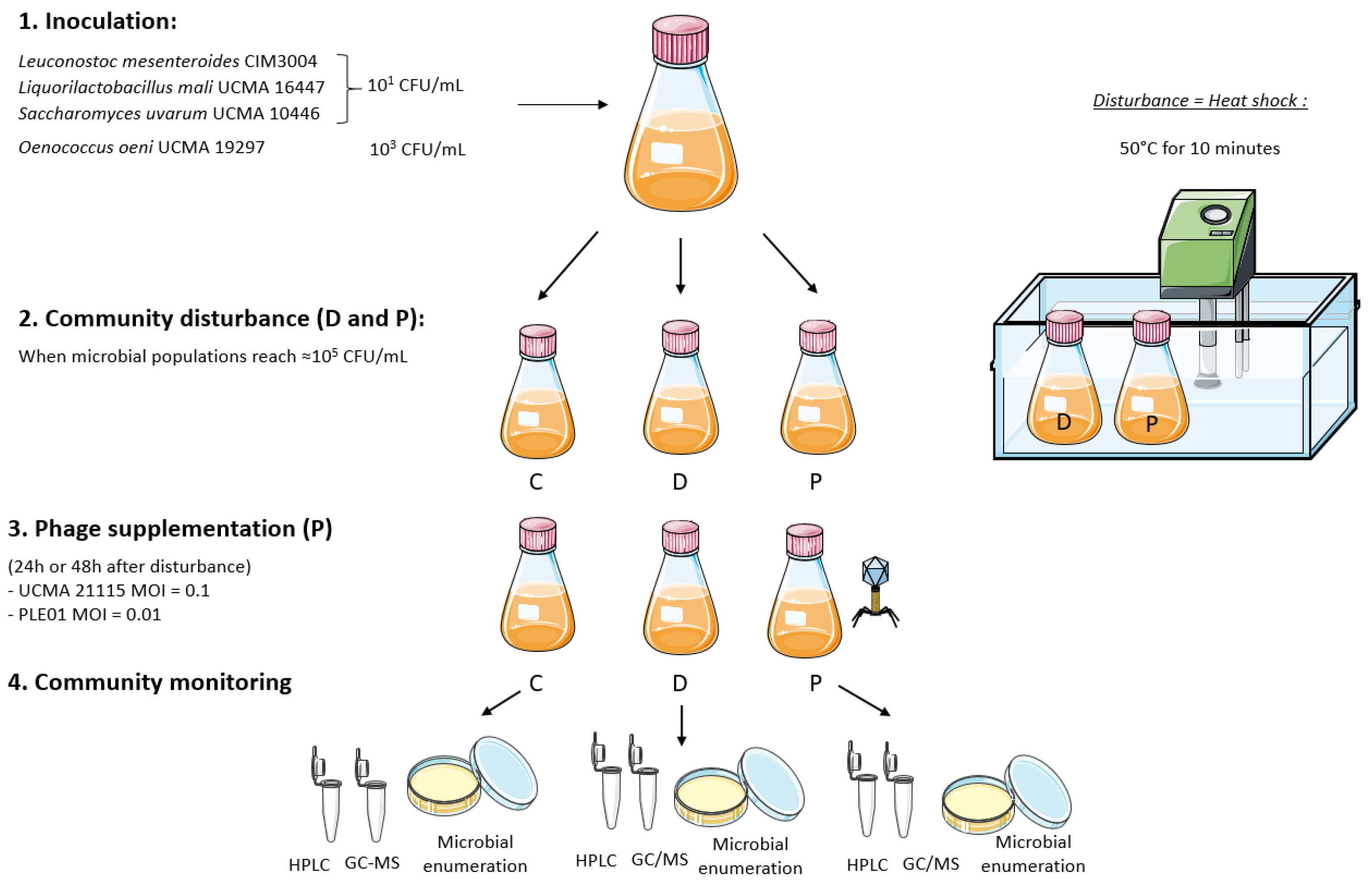 Viruses 14 02283 g001 Viruses 14 02283 g001