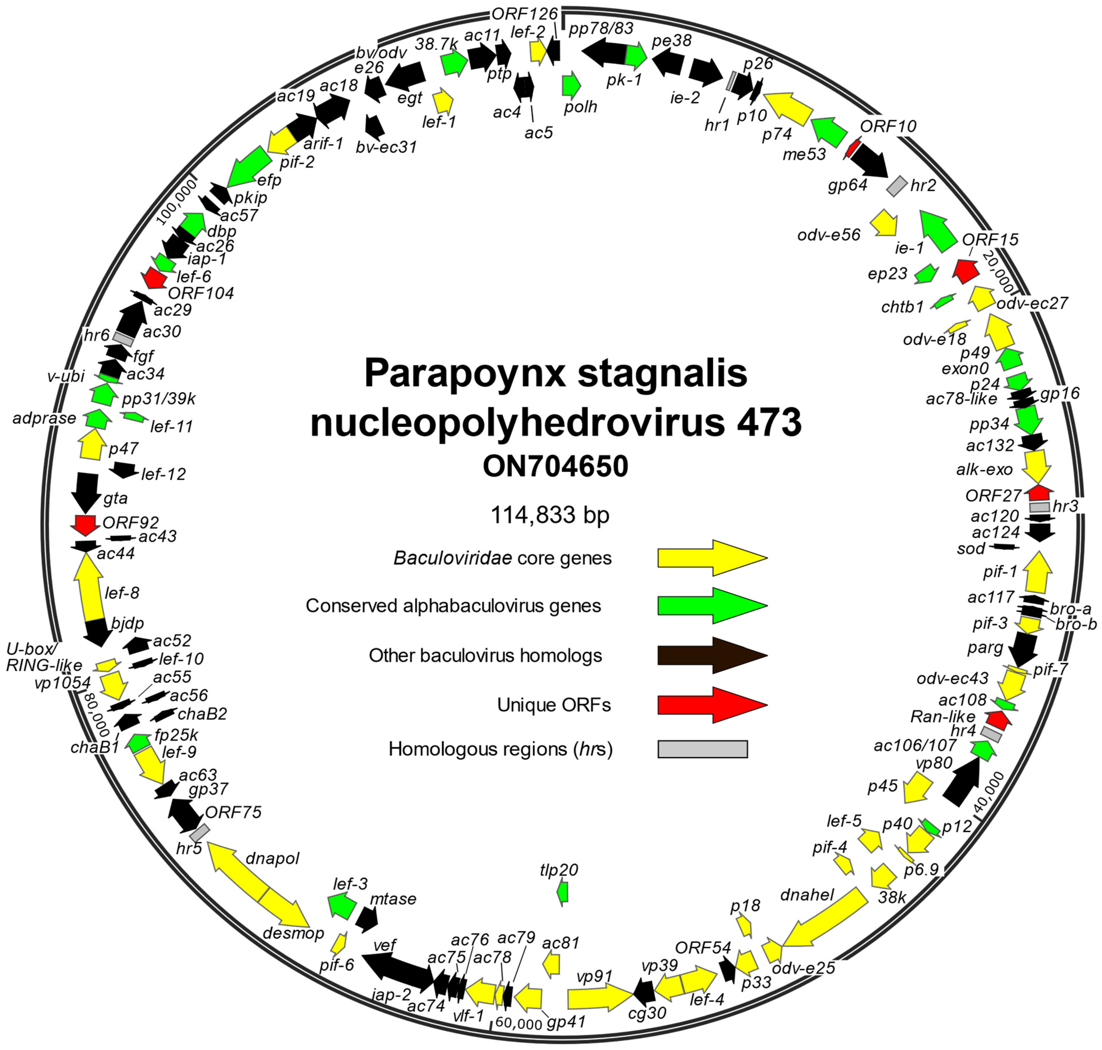 Viruses 14 02289 g001