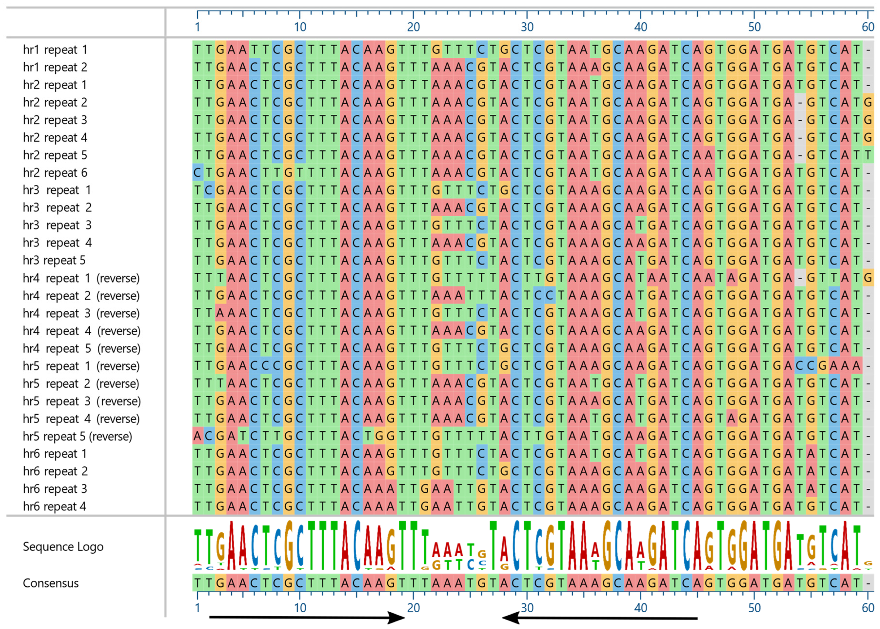 Viruses 14 02289 g002