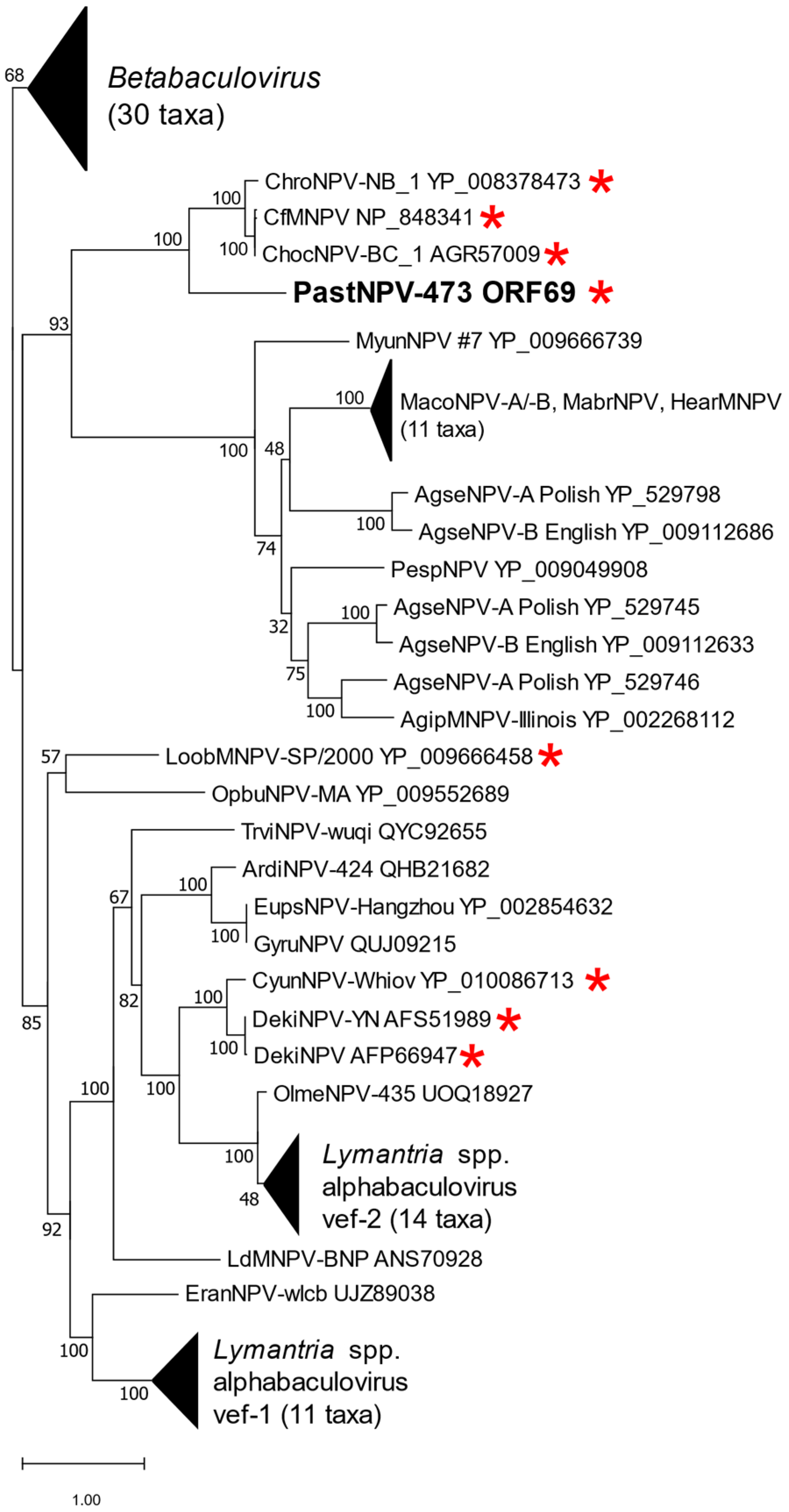 Viruses 14 02289 g005