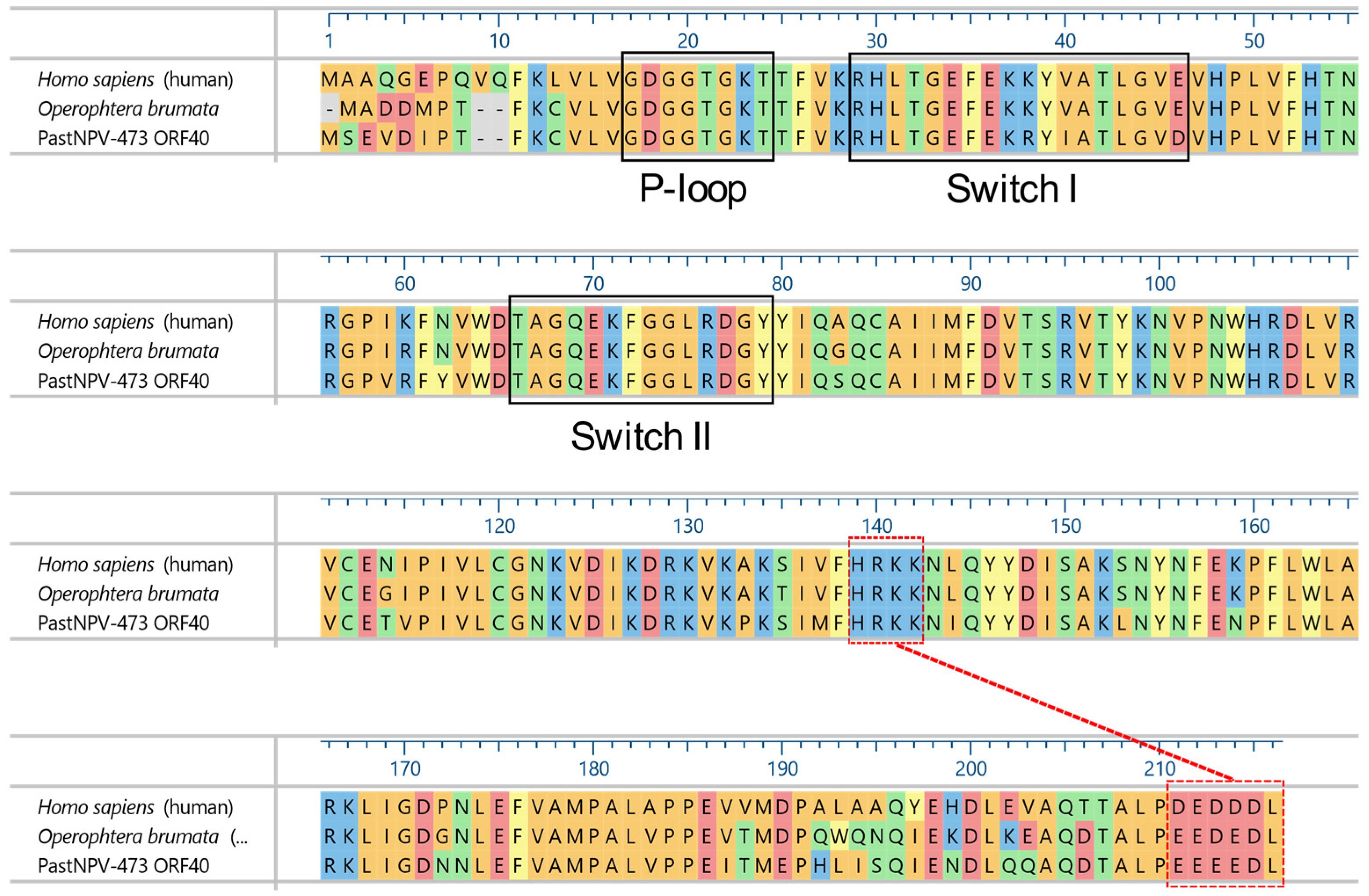 Viruses 14 02289 g006