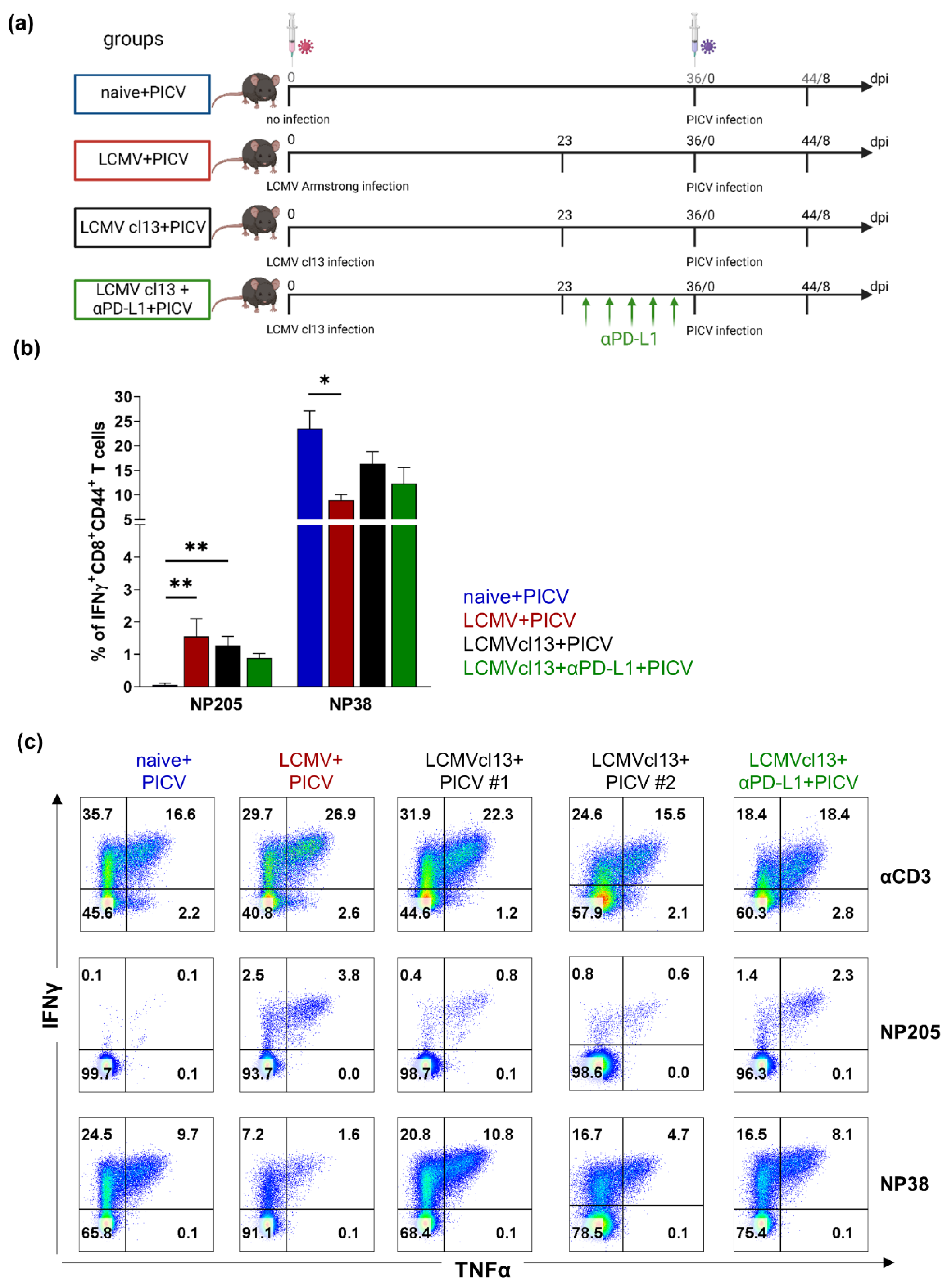 Viruses 14 02293 g001