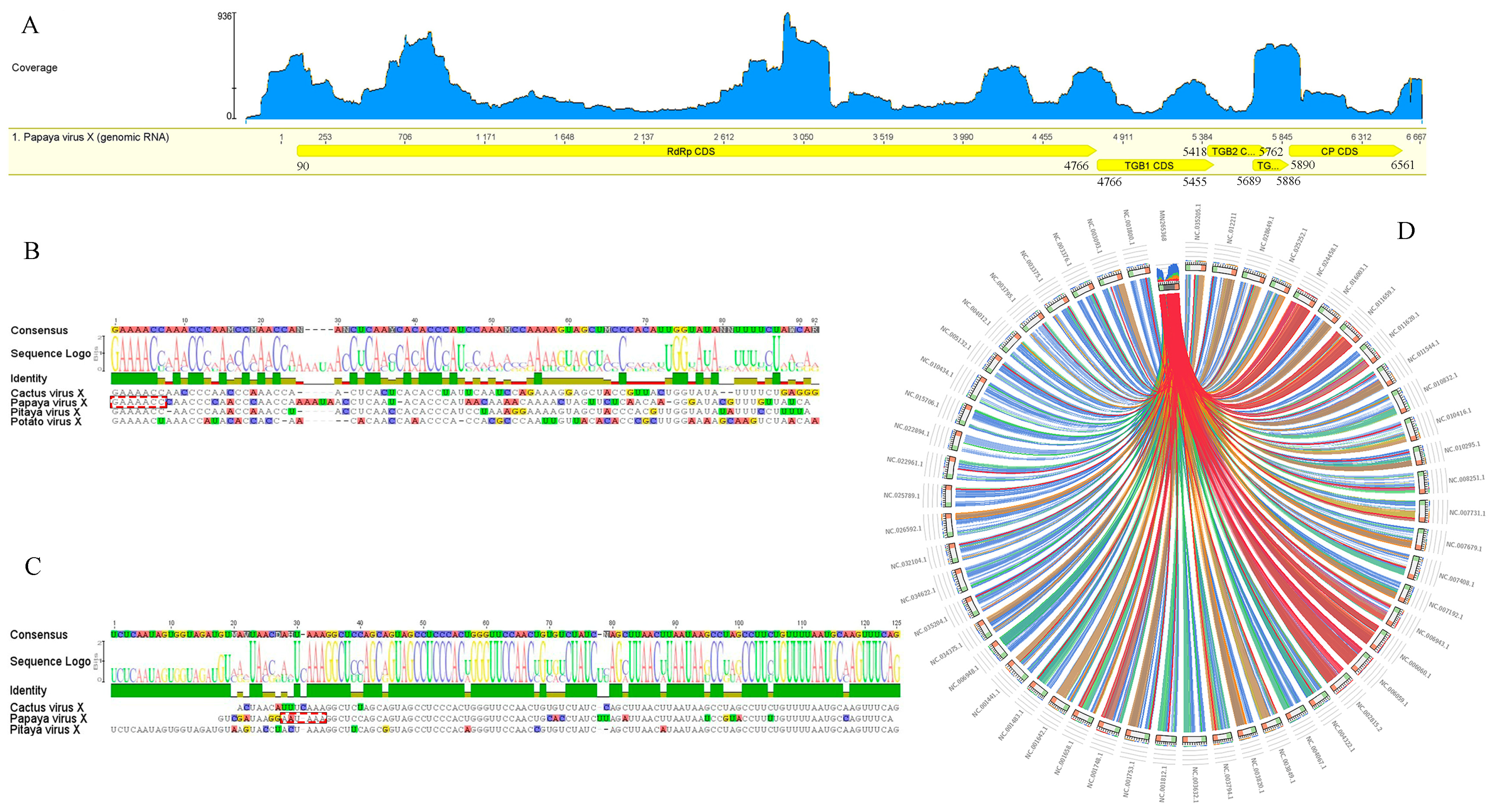 Viruses 14 02297 g002