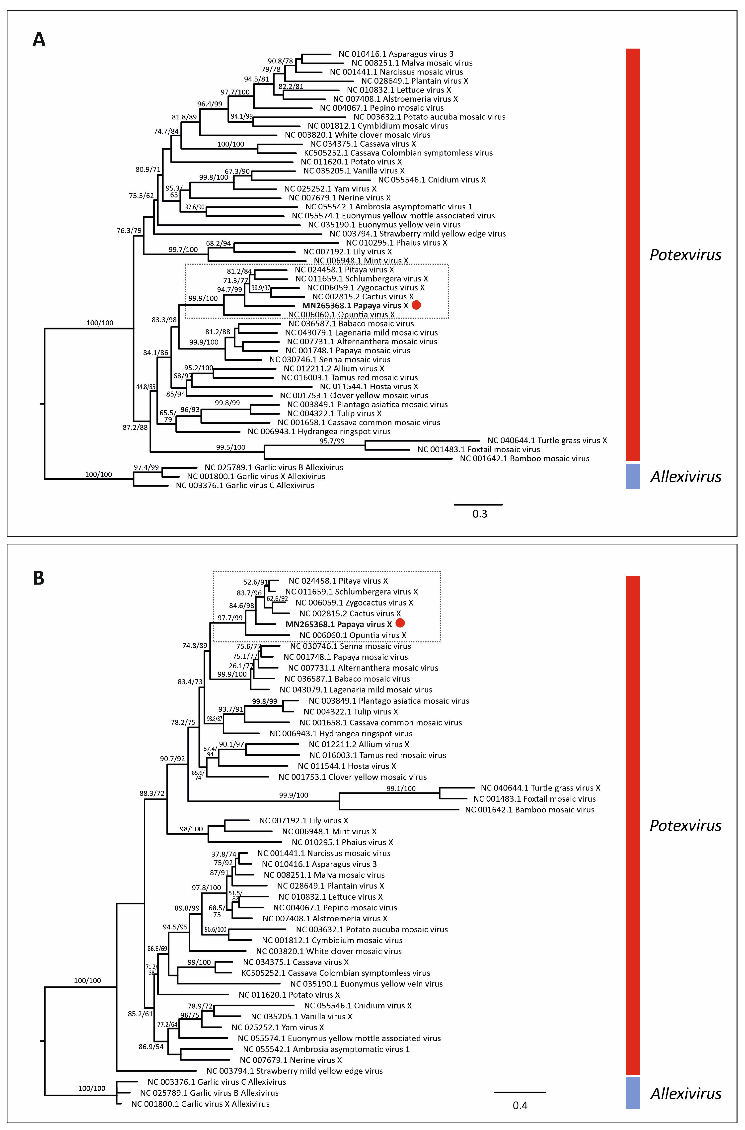 Viruses 14 02297 g004