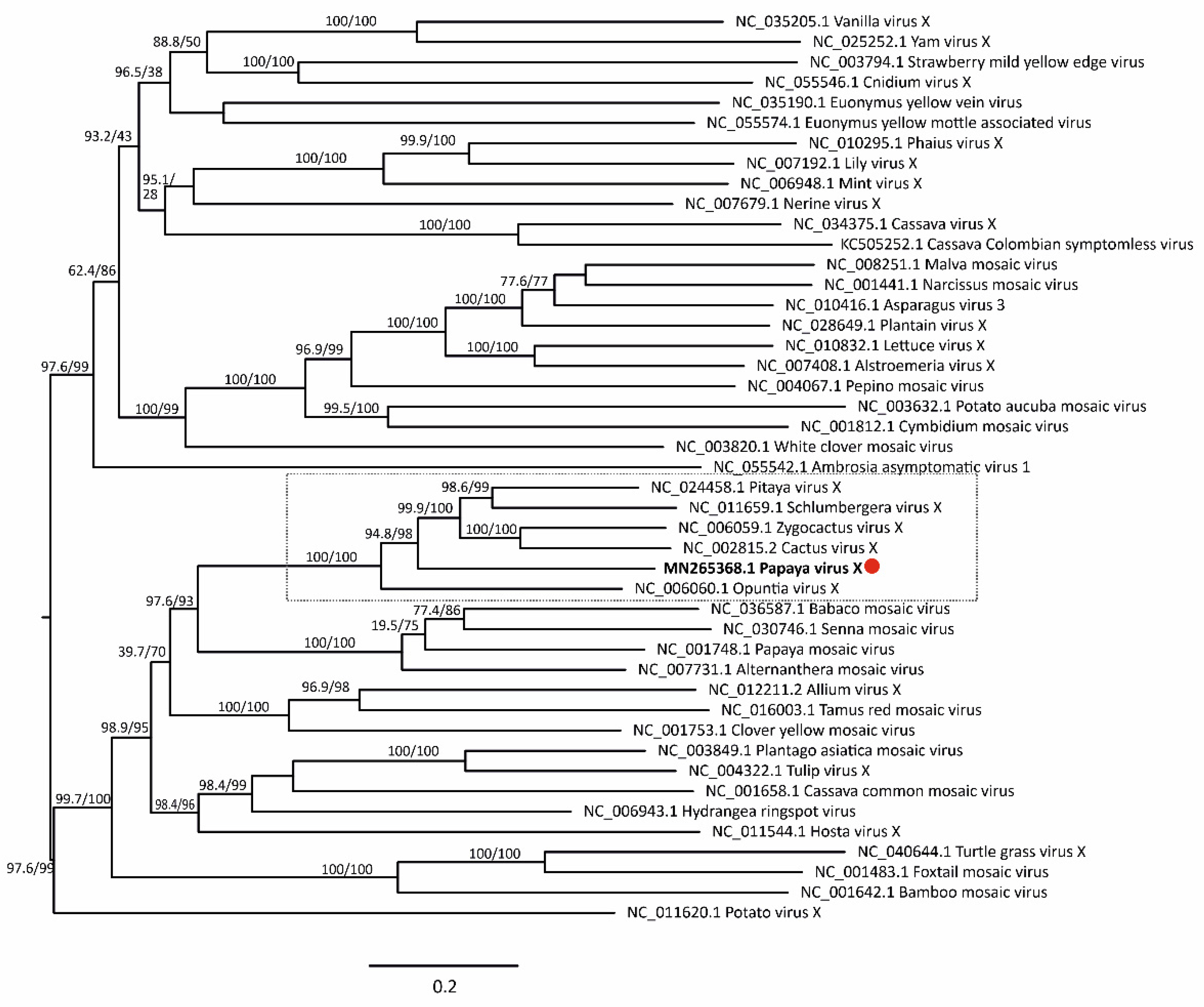 Viruses 14 02297 g005