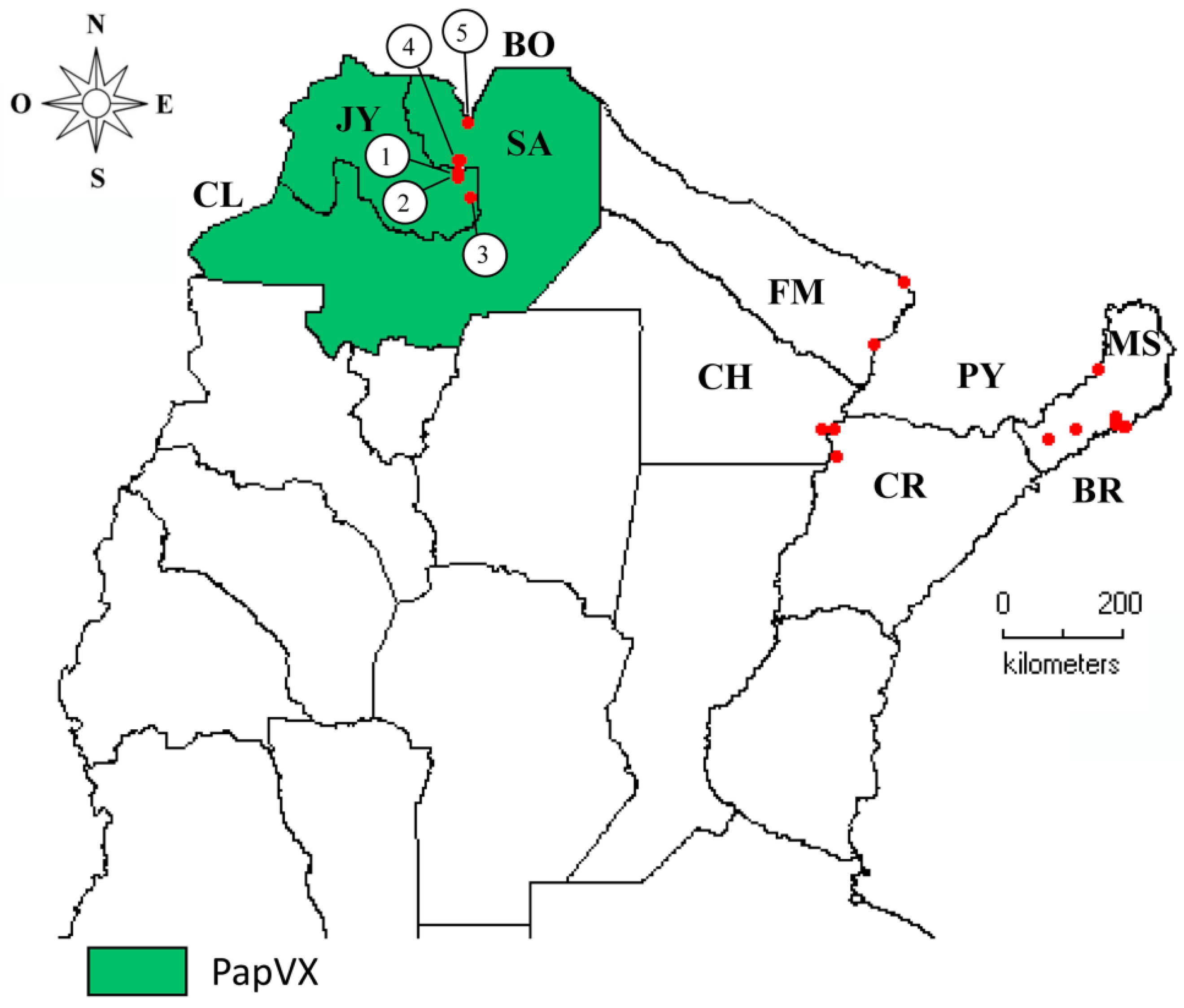 Viruses 14 02297 g006