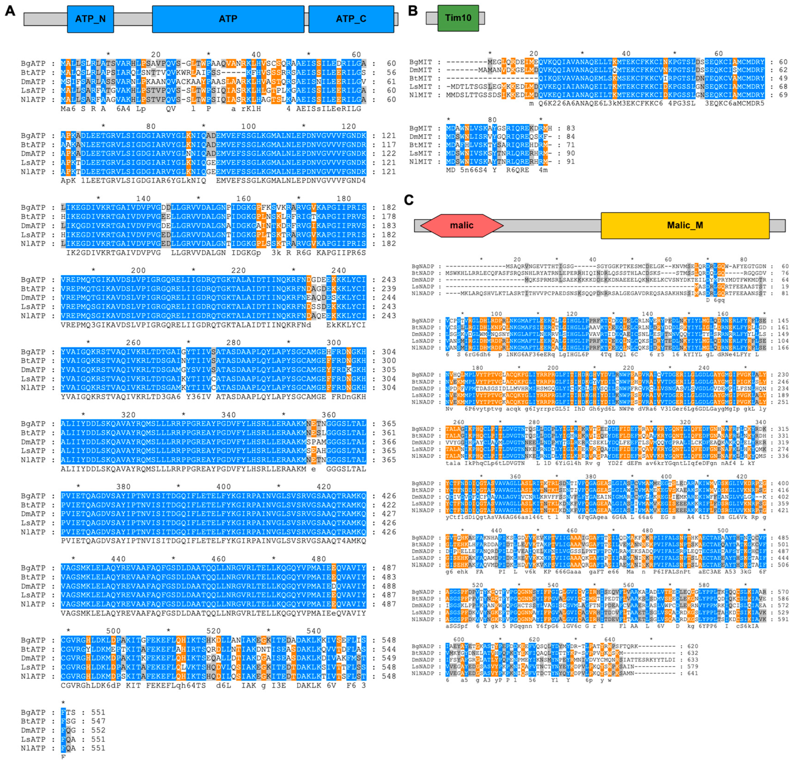 Viruses 14 02298 g001 Viruses 14 02298 g001