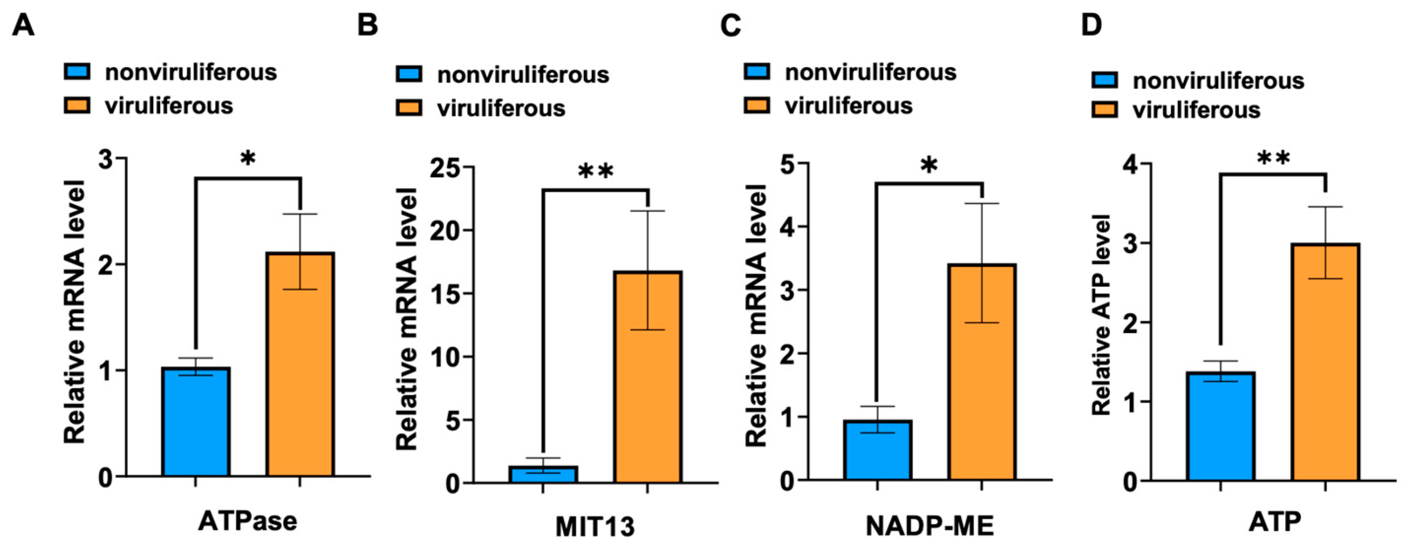 Viruses 14 02298 g002 Viruses 14 02298 g002