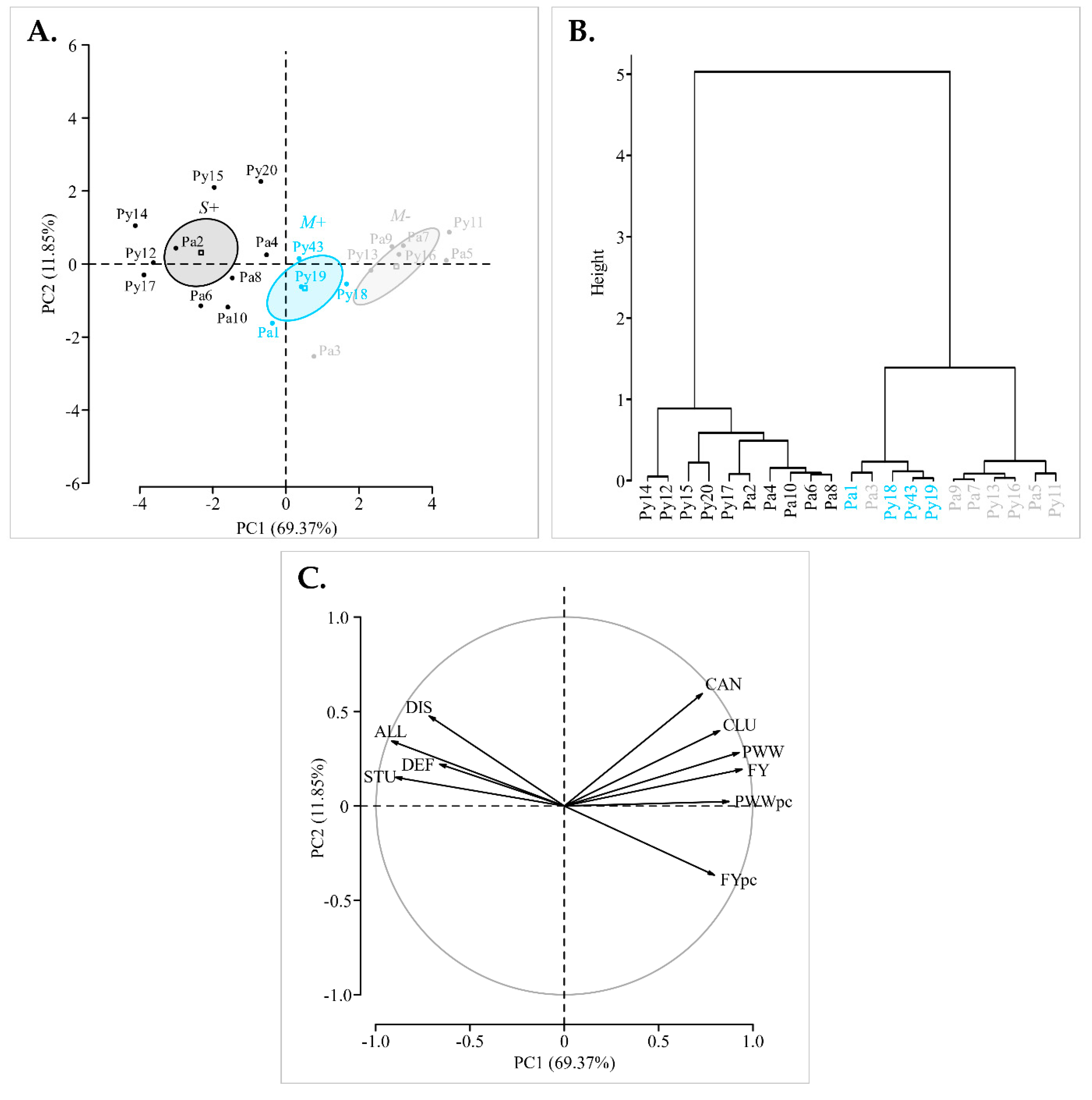 Viruses 14 02303 g002
