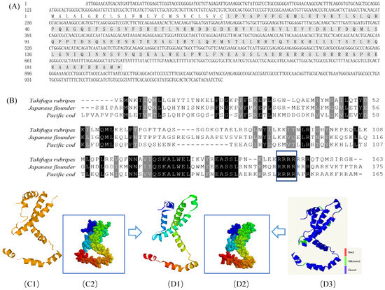 Cloning, Exogenous Expression and Function Analysis of