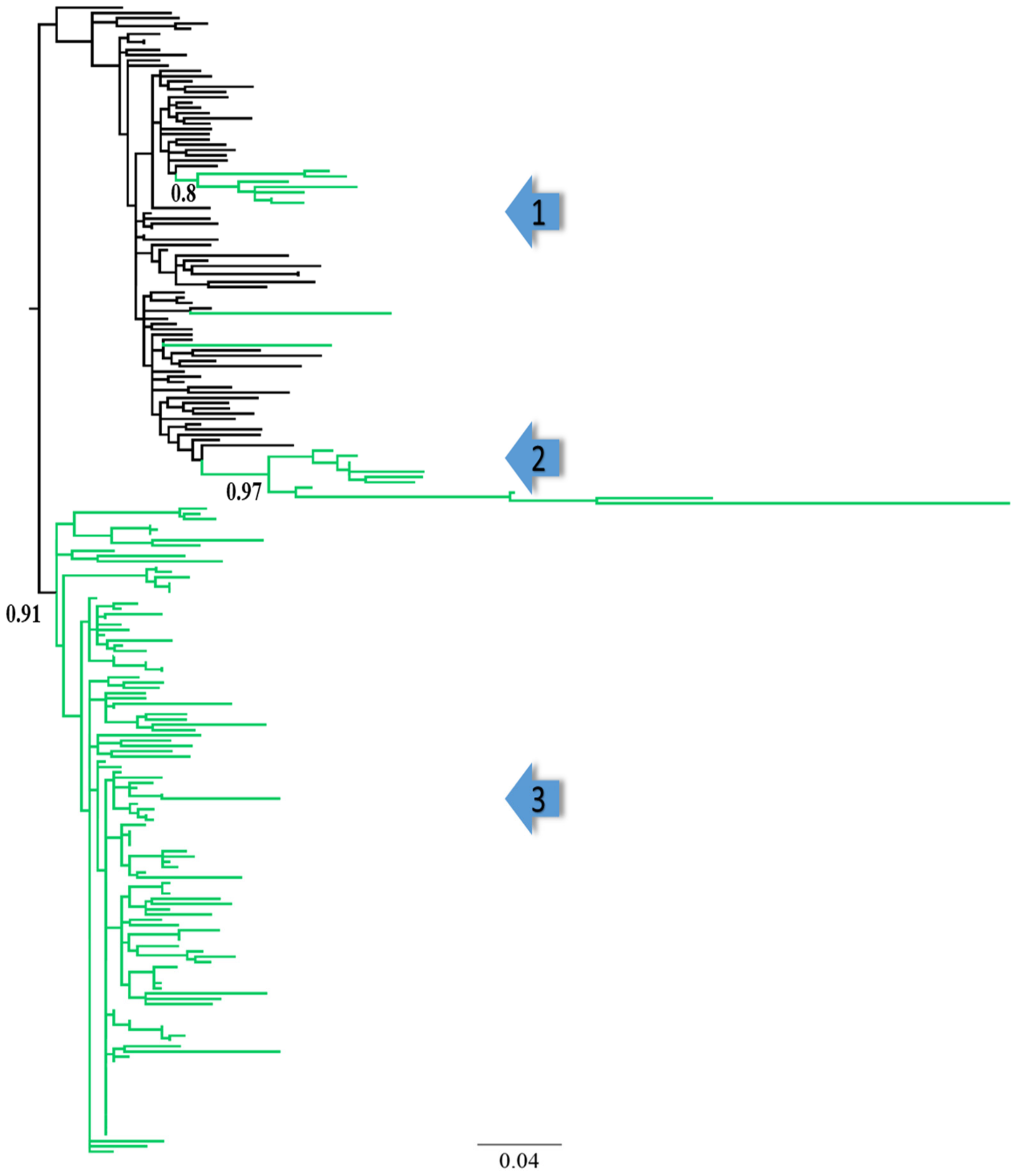 Viruses 14 02307 g001