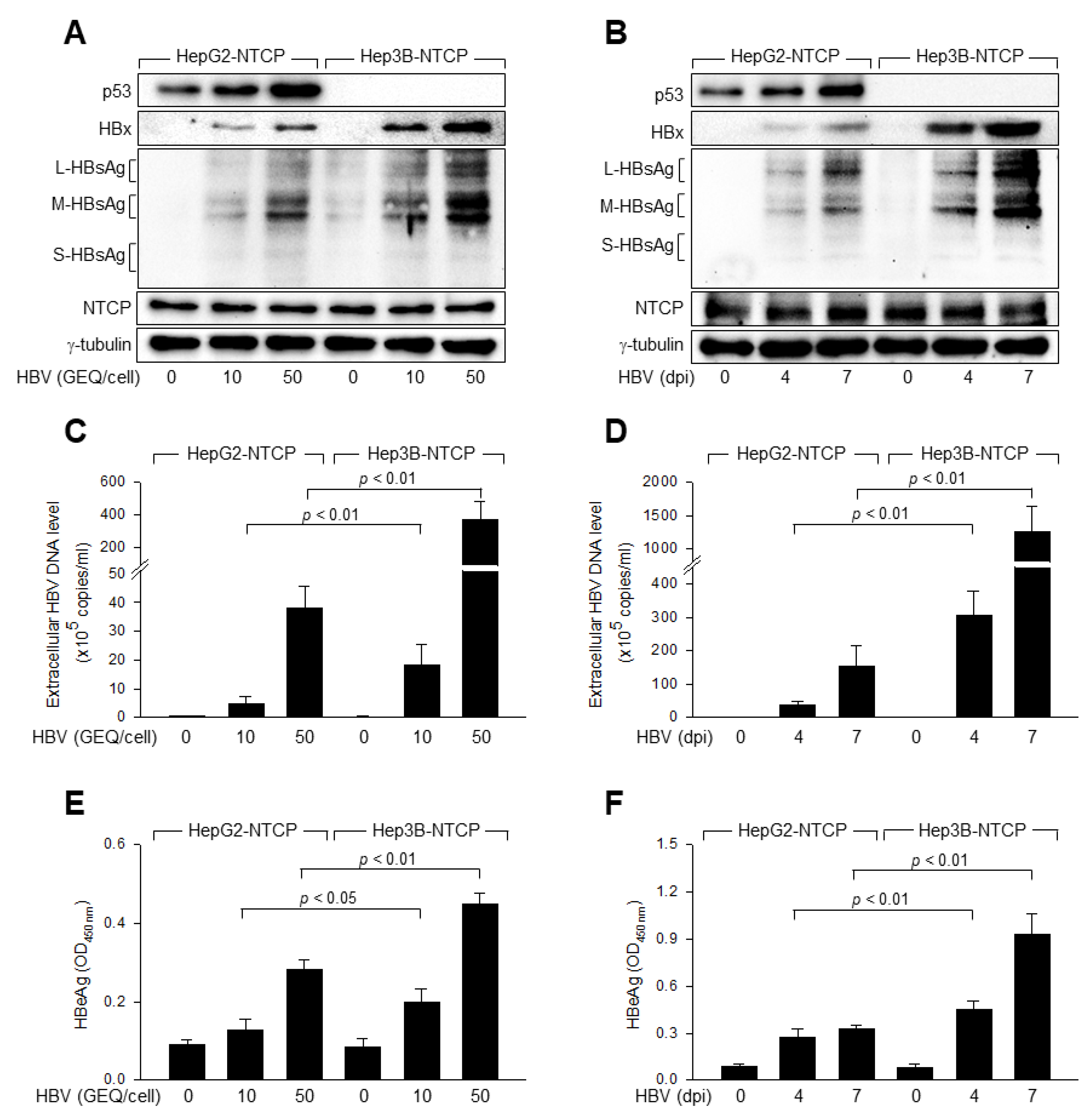 Viruses 14 02313 g001 Viruses 14 02313 g001