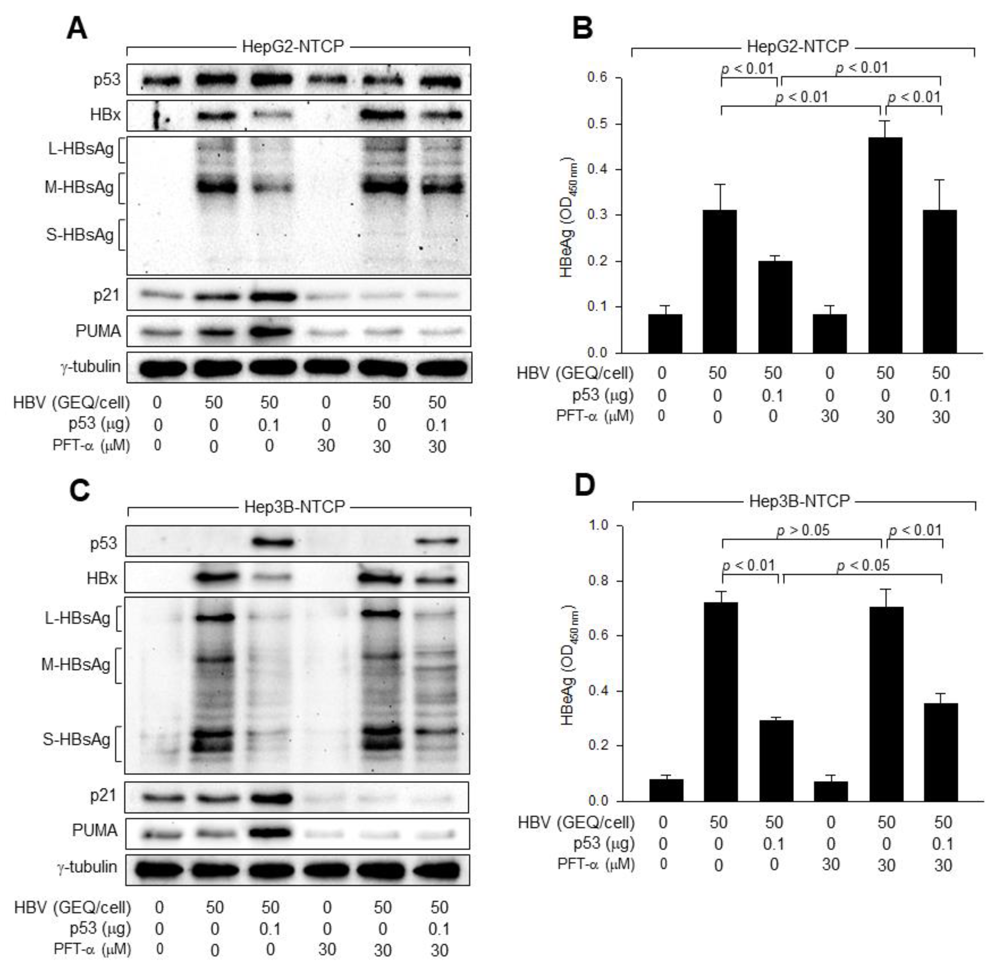 Viruses 14 02313 g003 Viruses 14 02313 g003