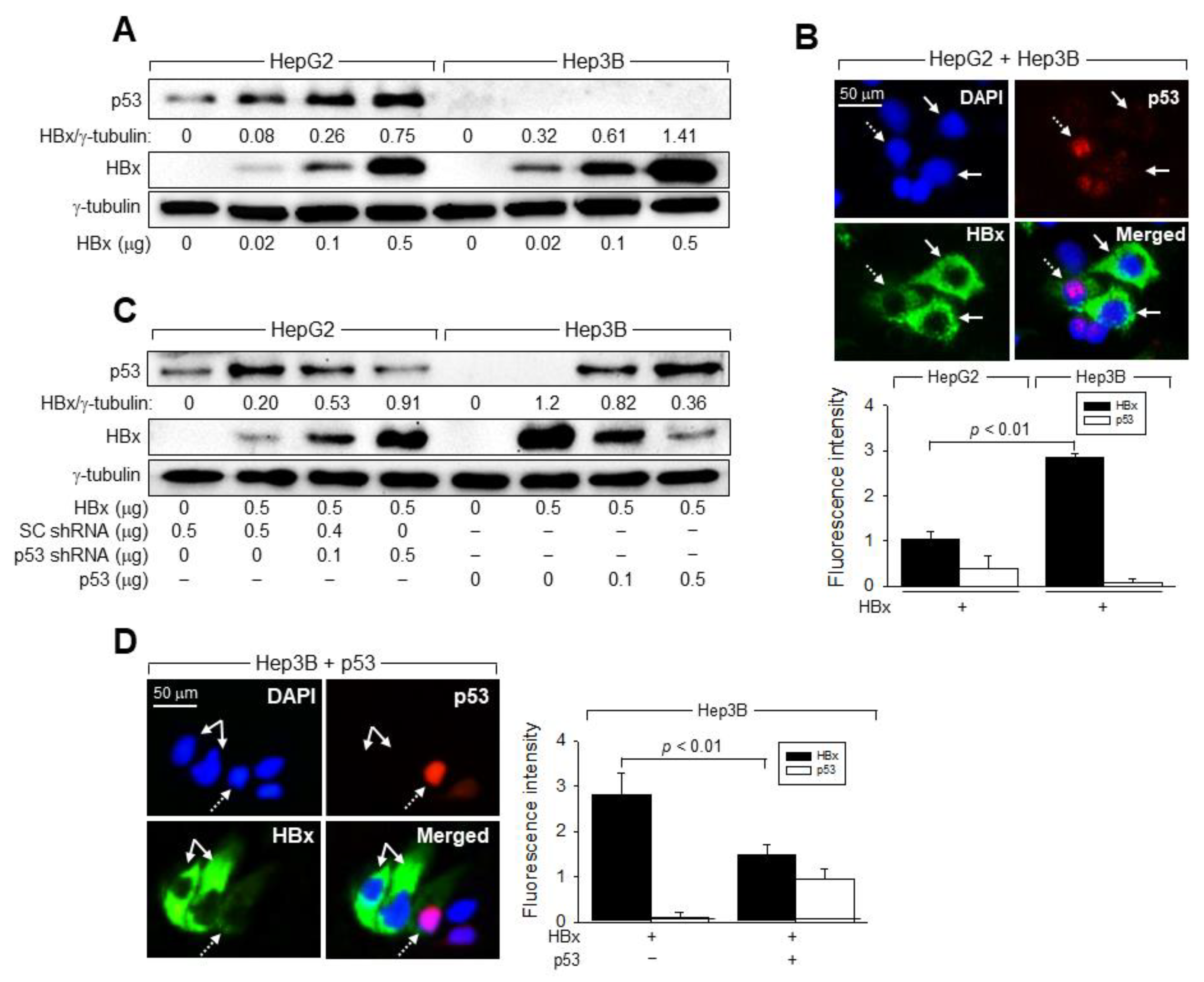 Viruses 14 02313 g005 Viruses 14 02313 g005
