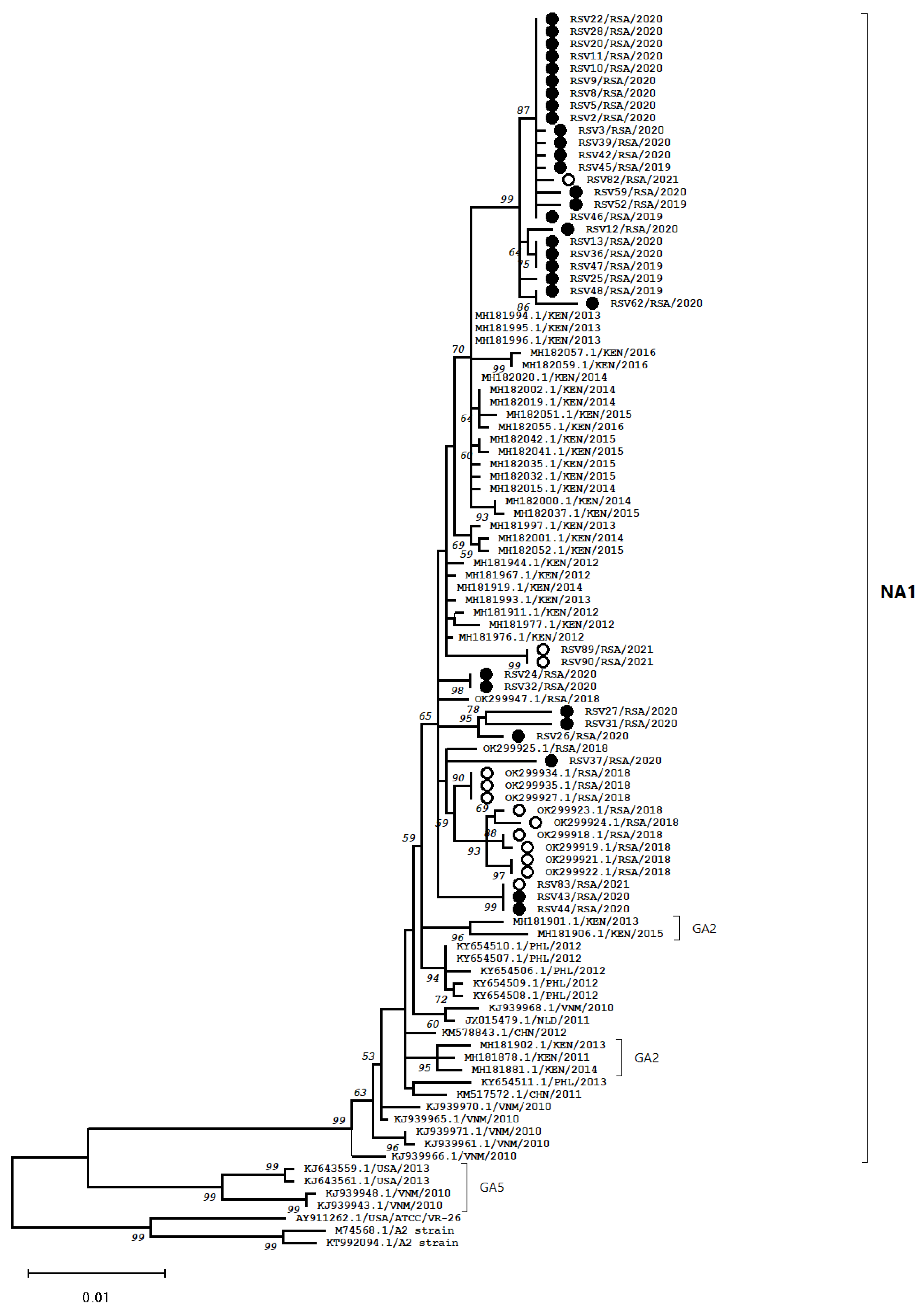 Viruses 14 02321 g001