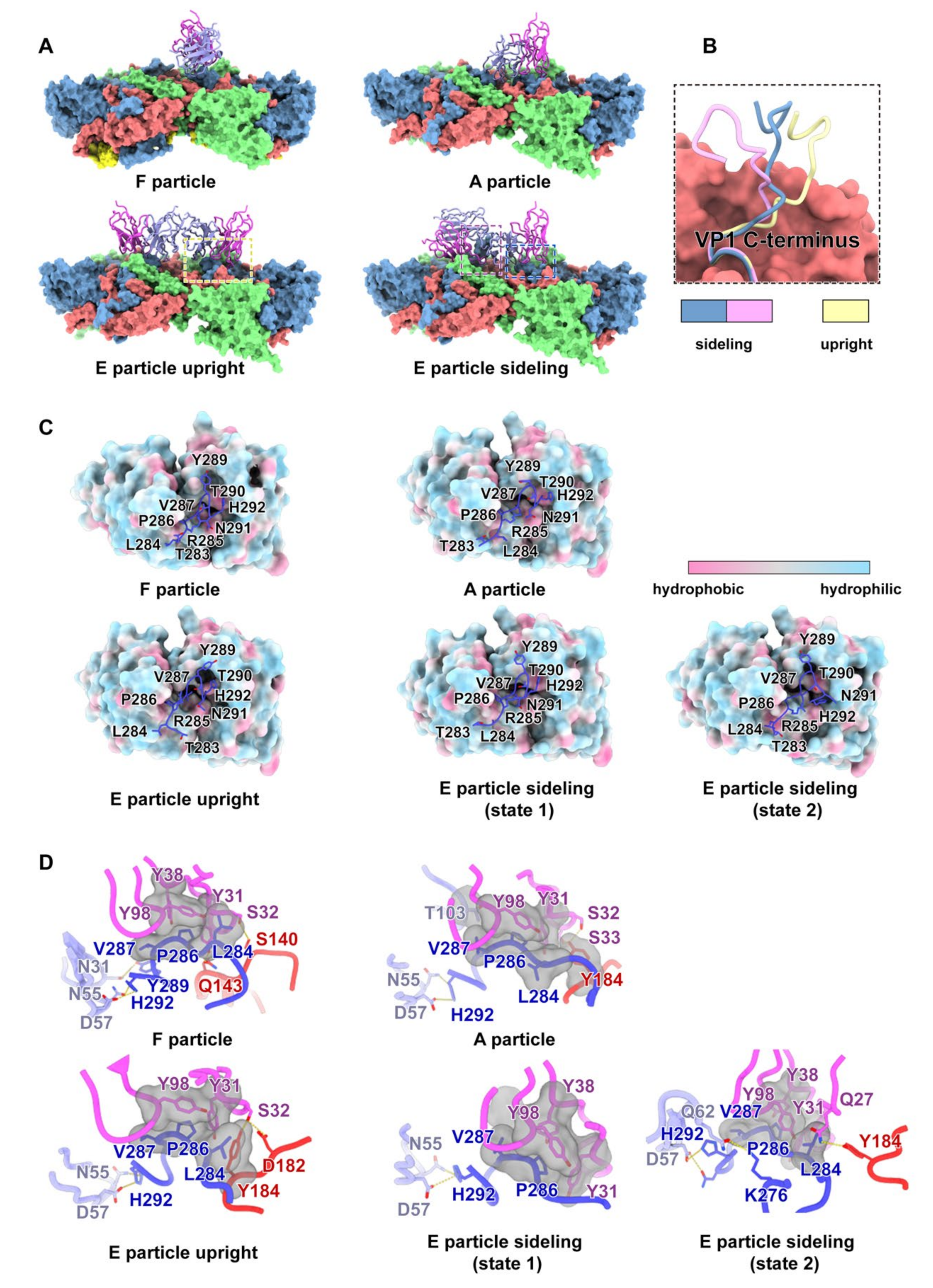 Viruses 14 02322 g002 Viruses 14 02322 g002