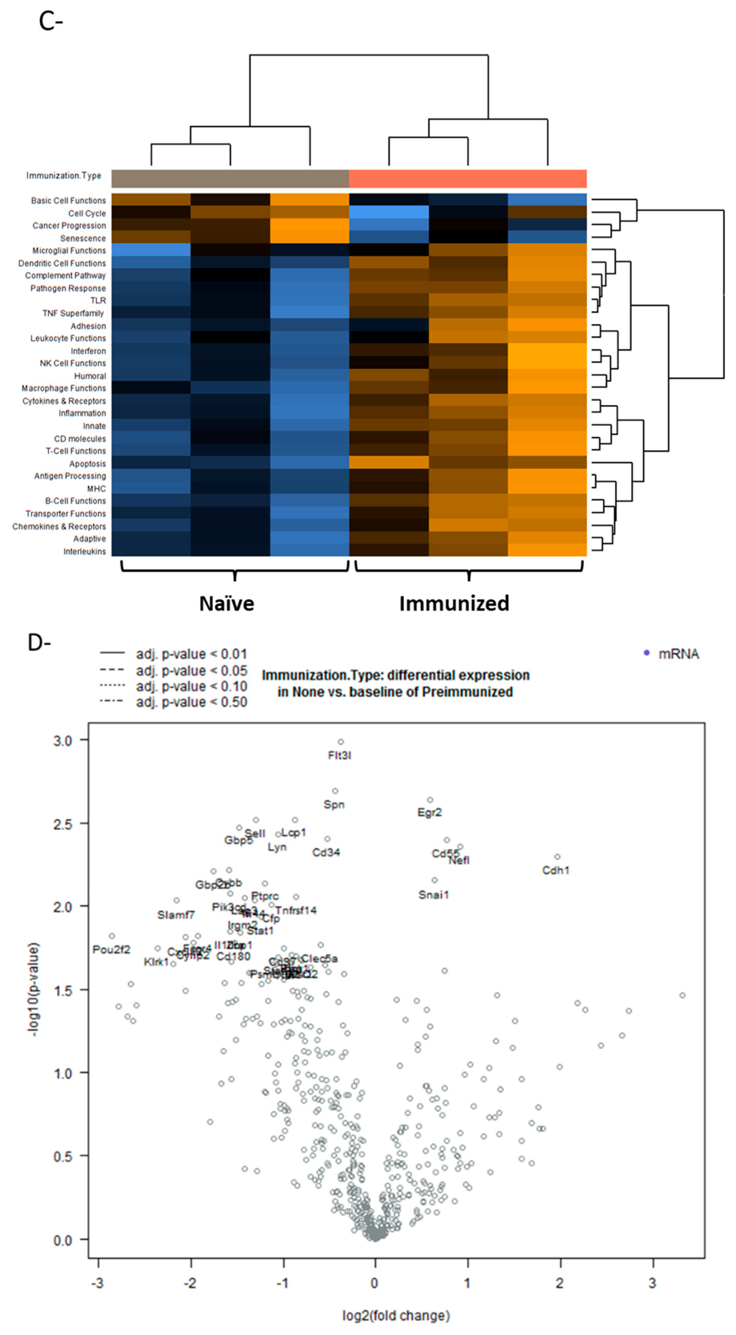 Viruses 14 02327 g005b