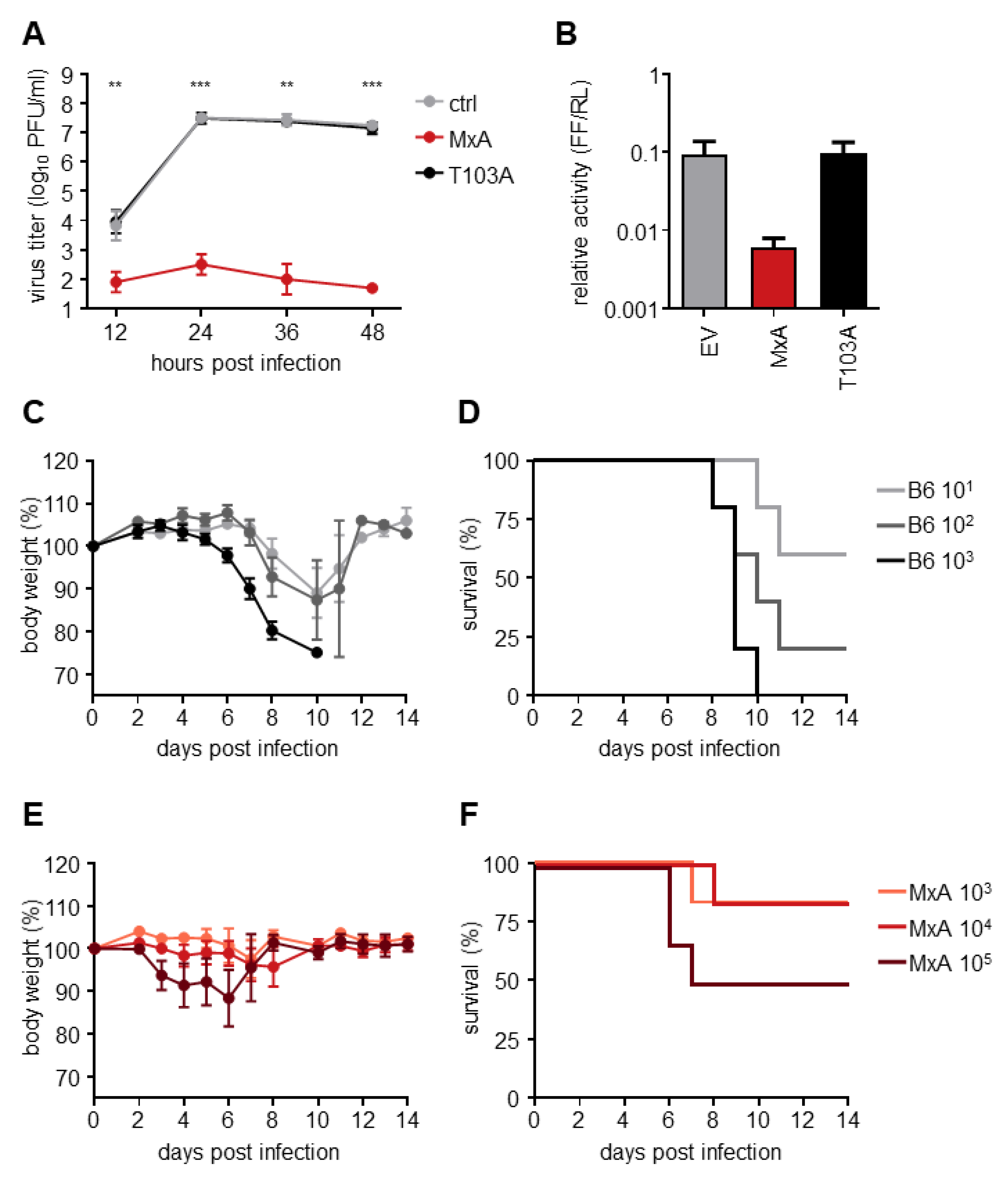 Viruses 14 02331 g001 Viruses 14 02331 g001