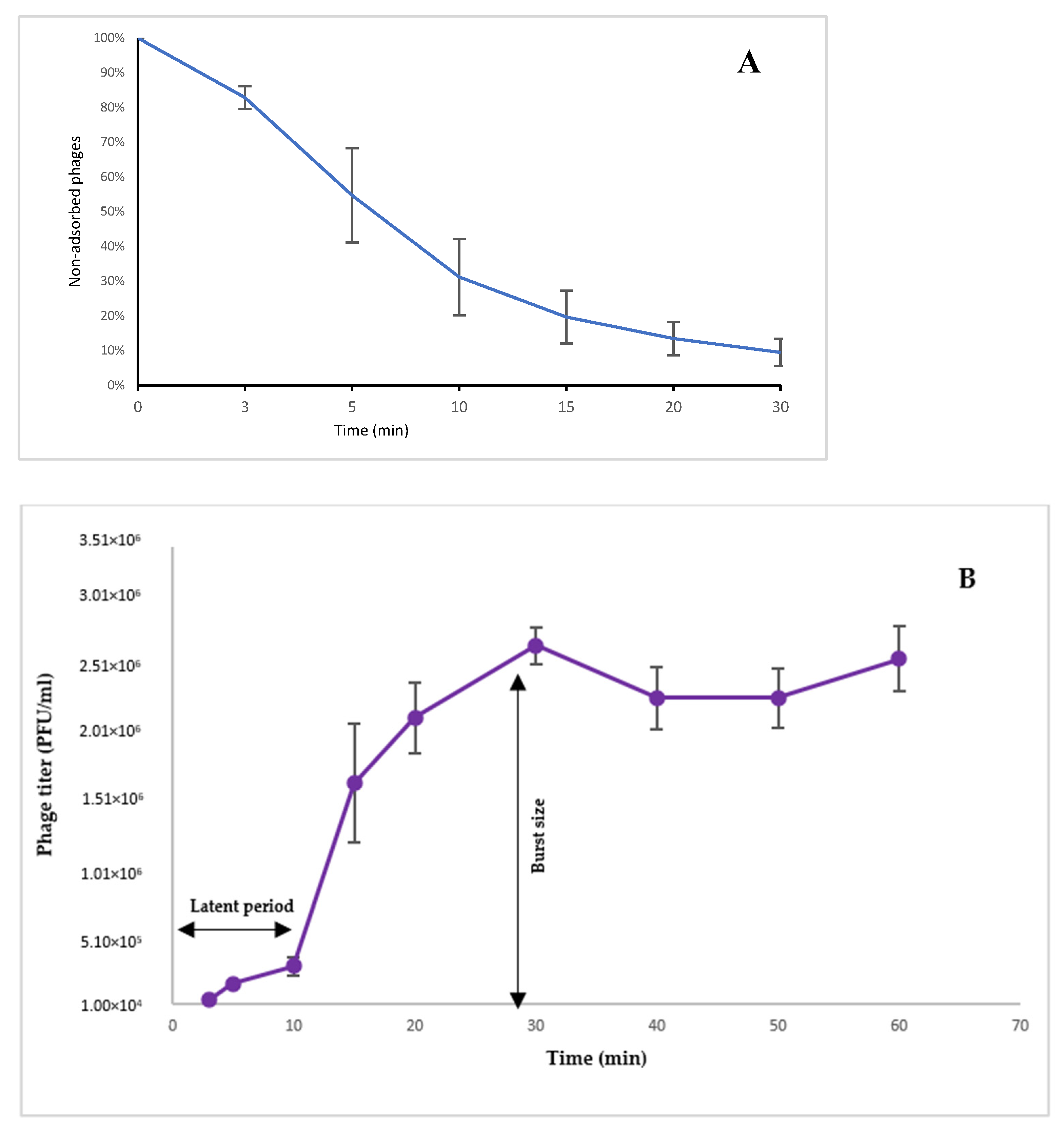 Viruses 14 02339 g005 Viruses 14 02339 g005