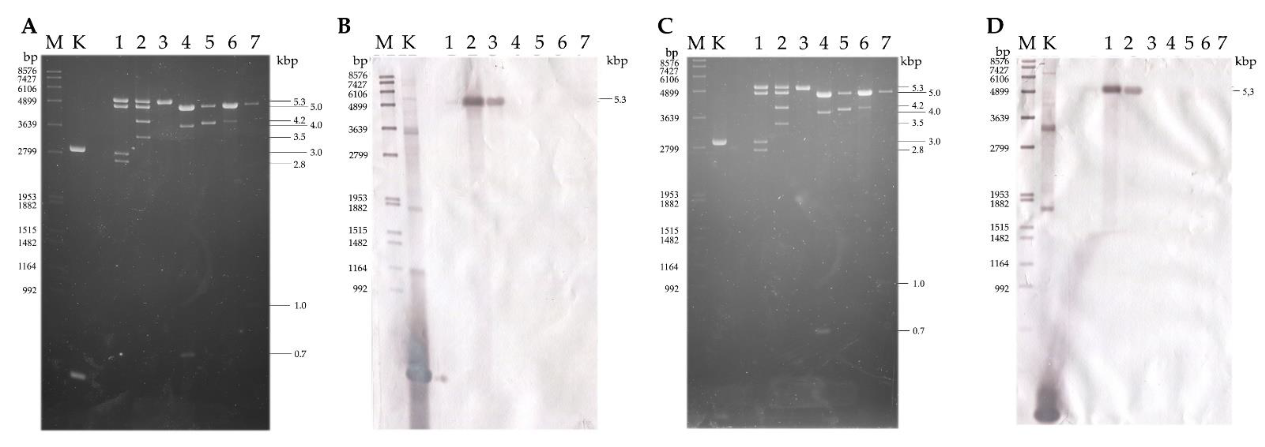 Viruses 14 02343 g005 Viruses 14 02343 g005