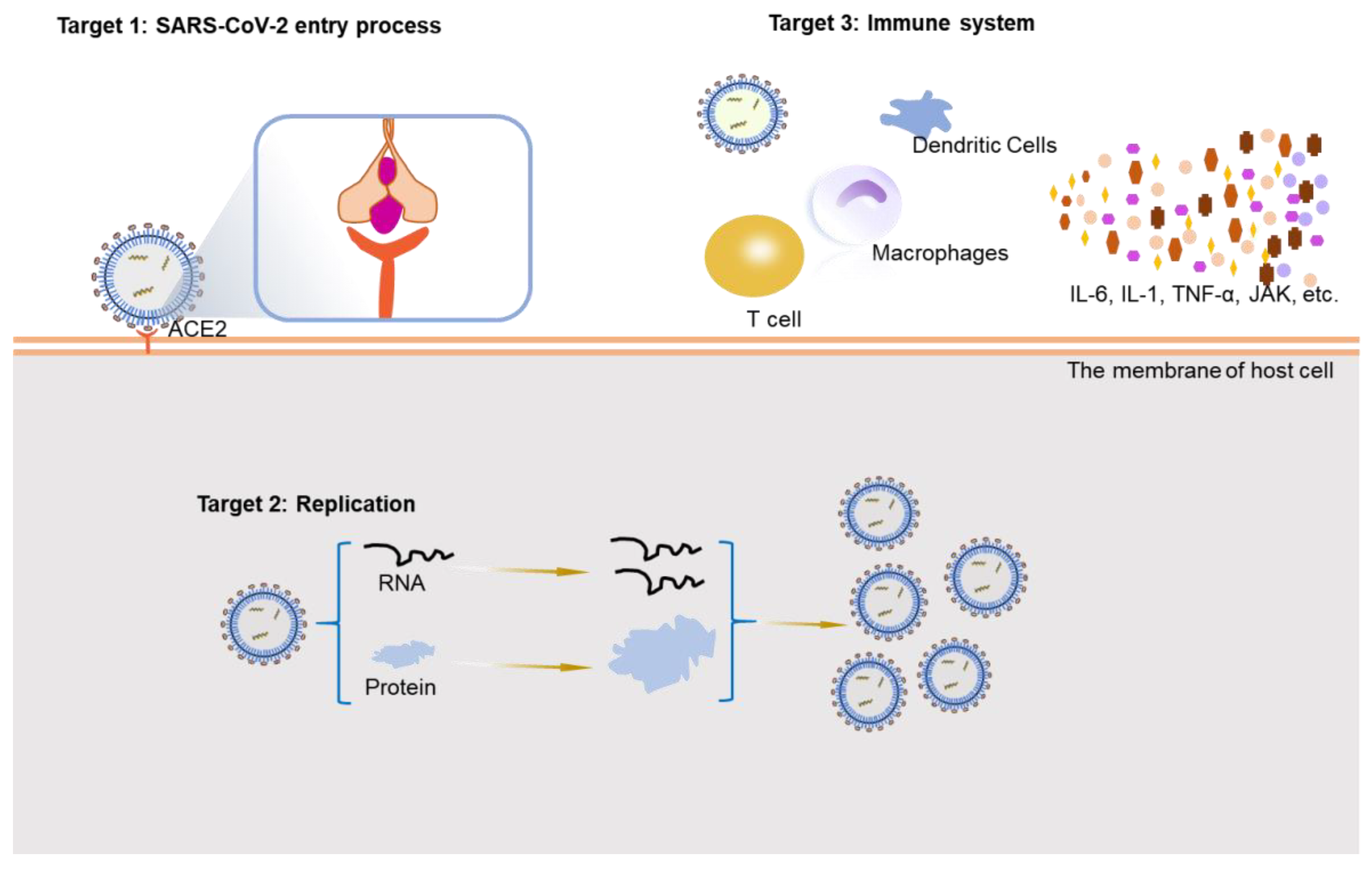 Viruses 14 02346 g002 Viruses 14 02346 g002