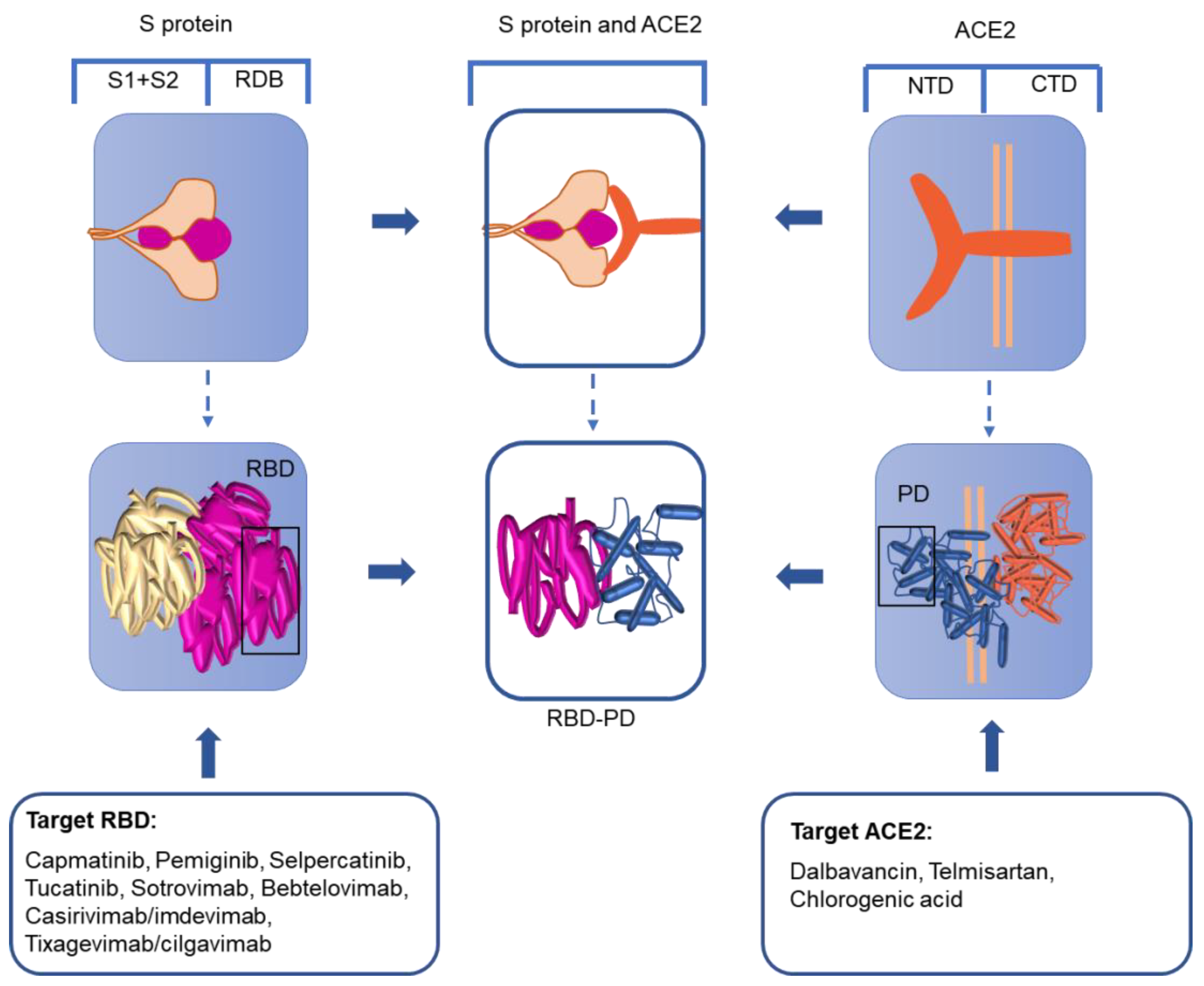 Viruses 14 02346 g003 Viruses 14 02346 g003