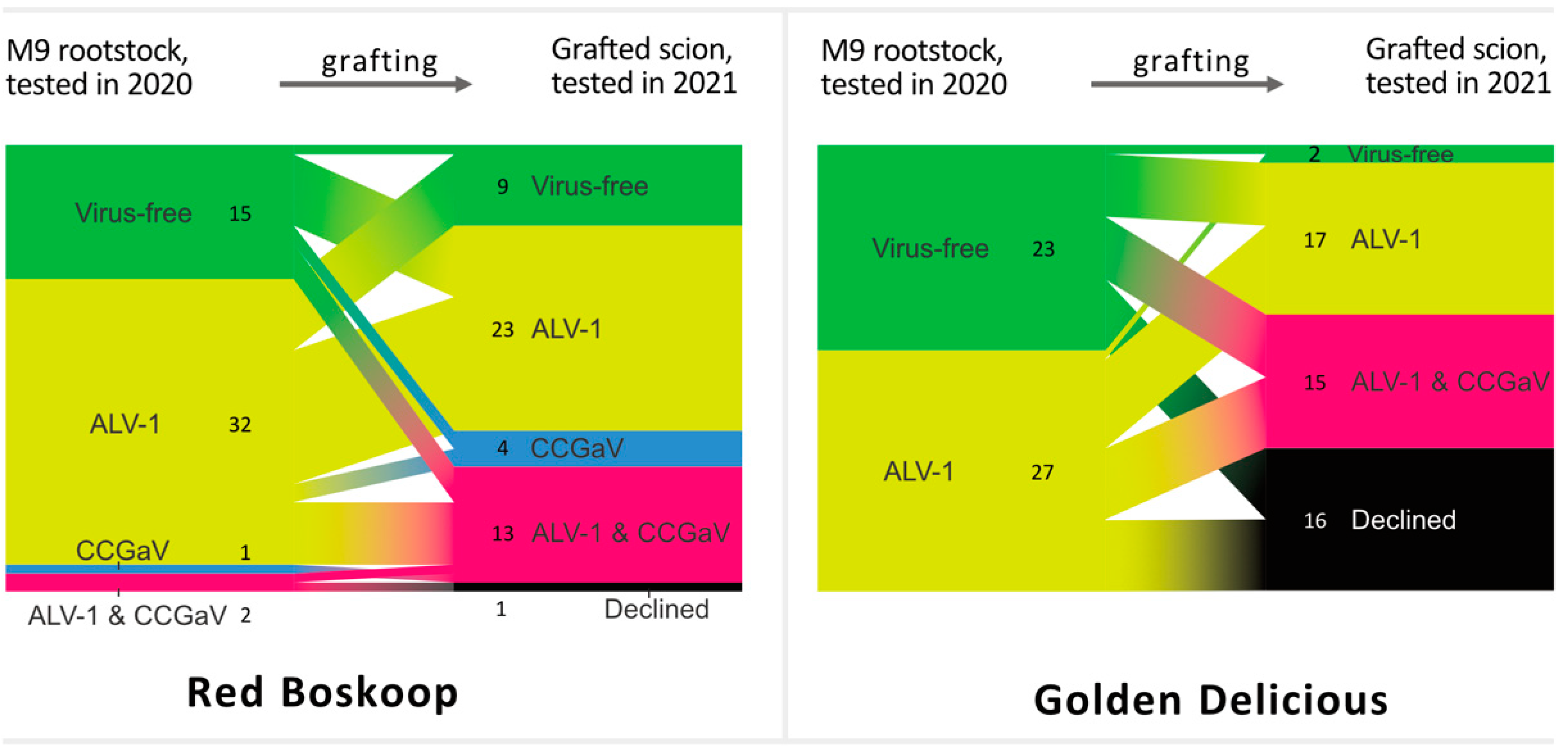 Viruses 14 02347 g010