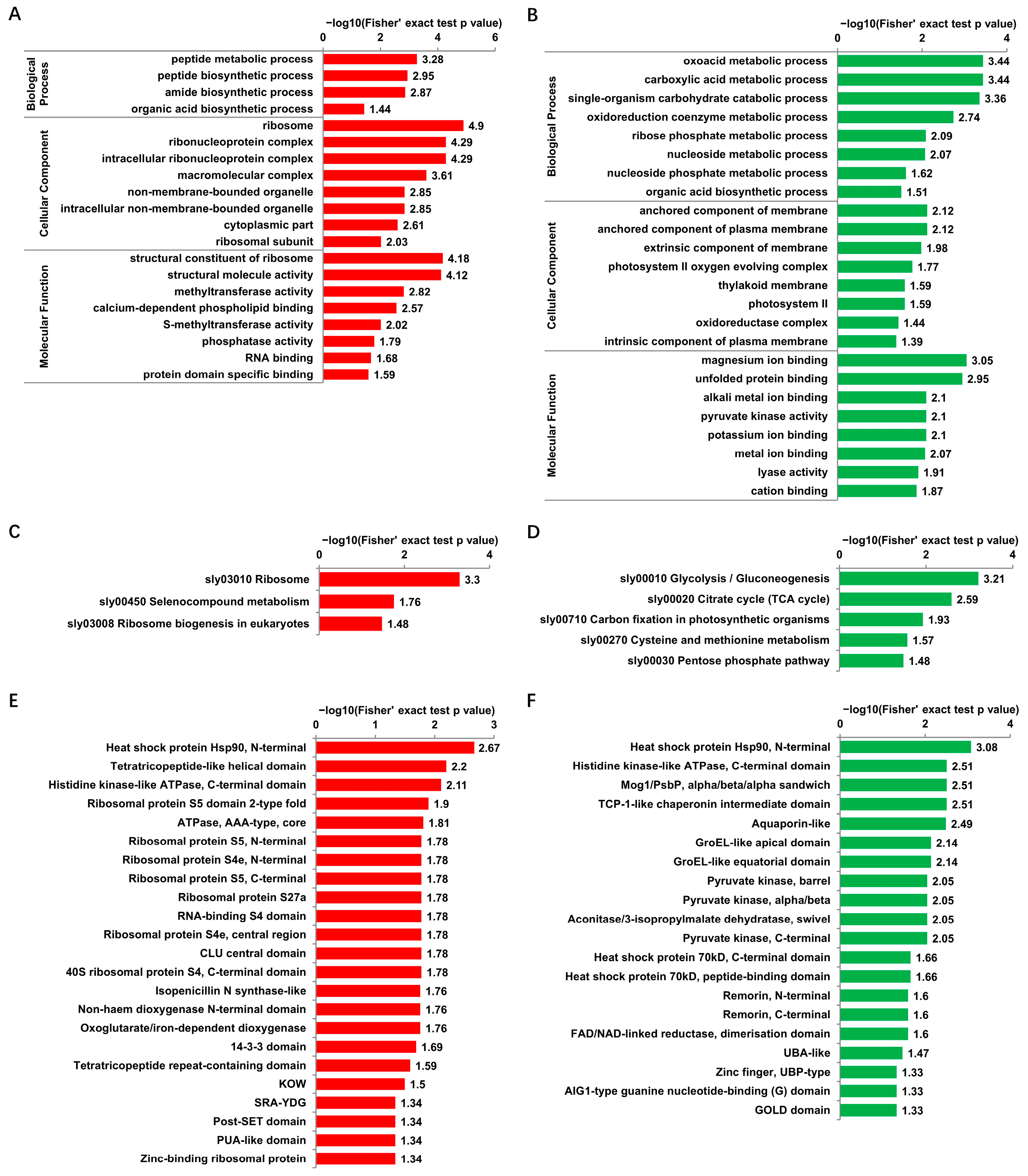 Viruses 14 02349 g004 Viruses 14 02349 g004
