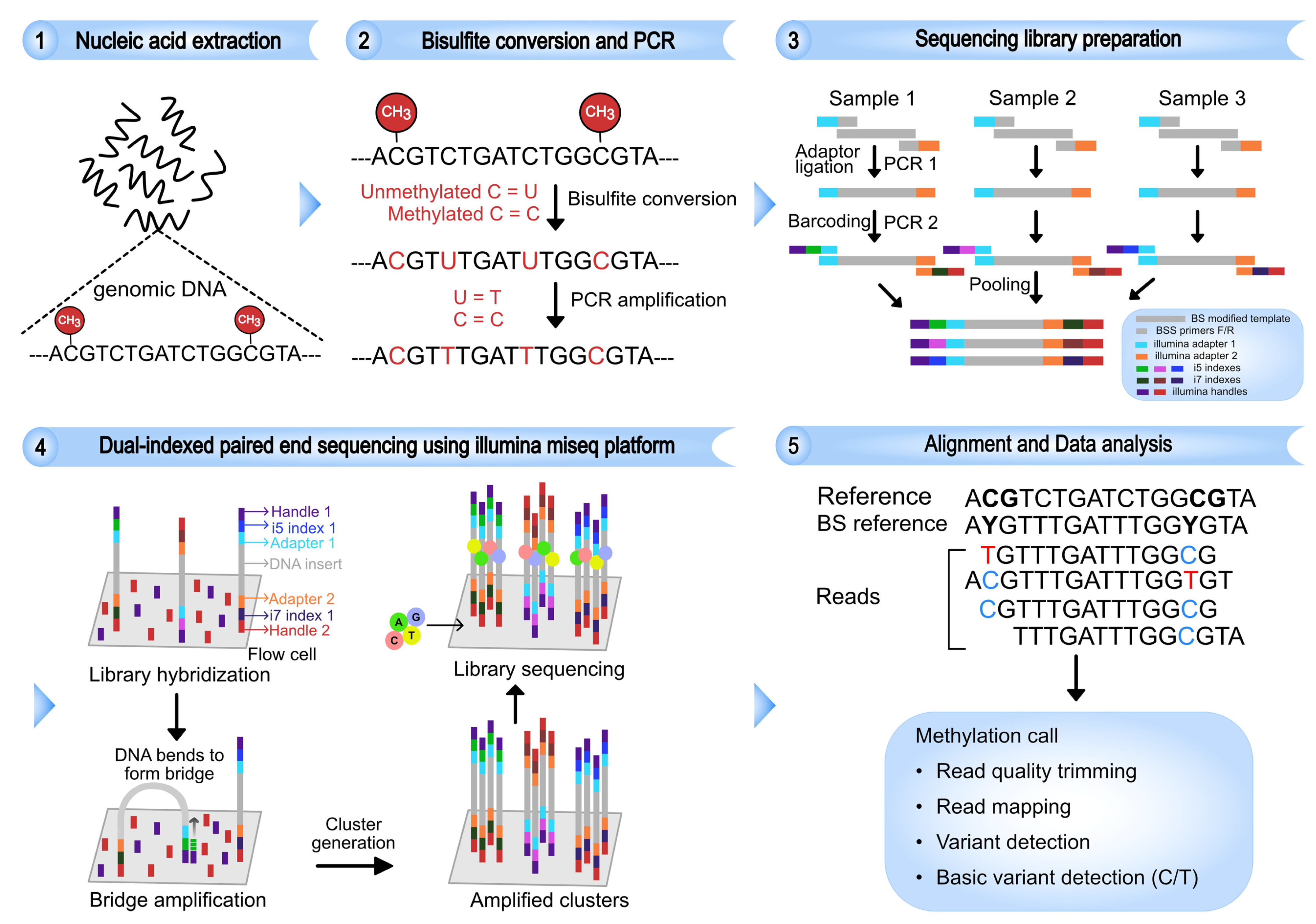 Viruses 14 02352 g001