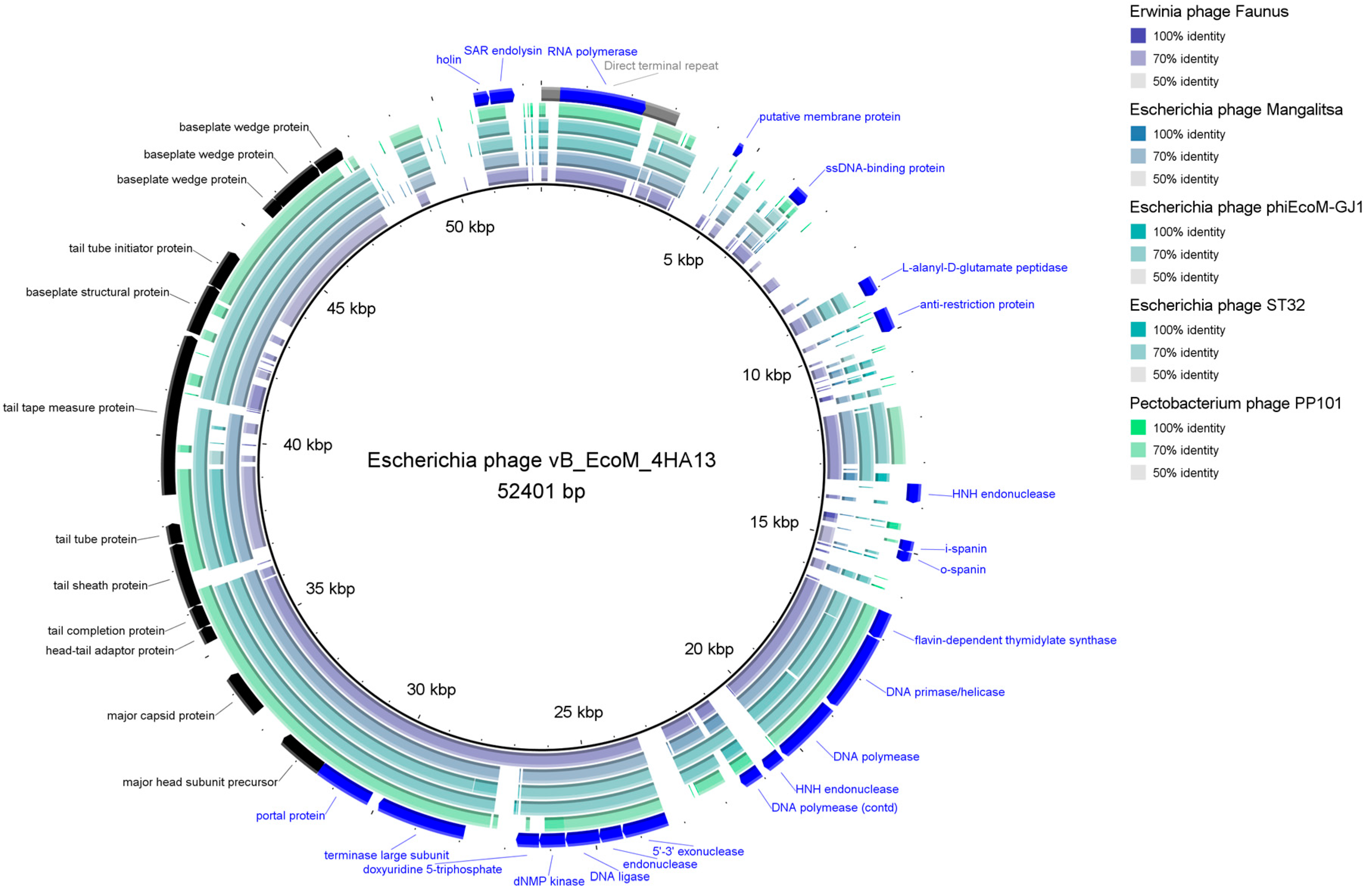 Viruses 14 02356 g004 Viruses 14 02356 g004