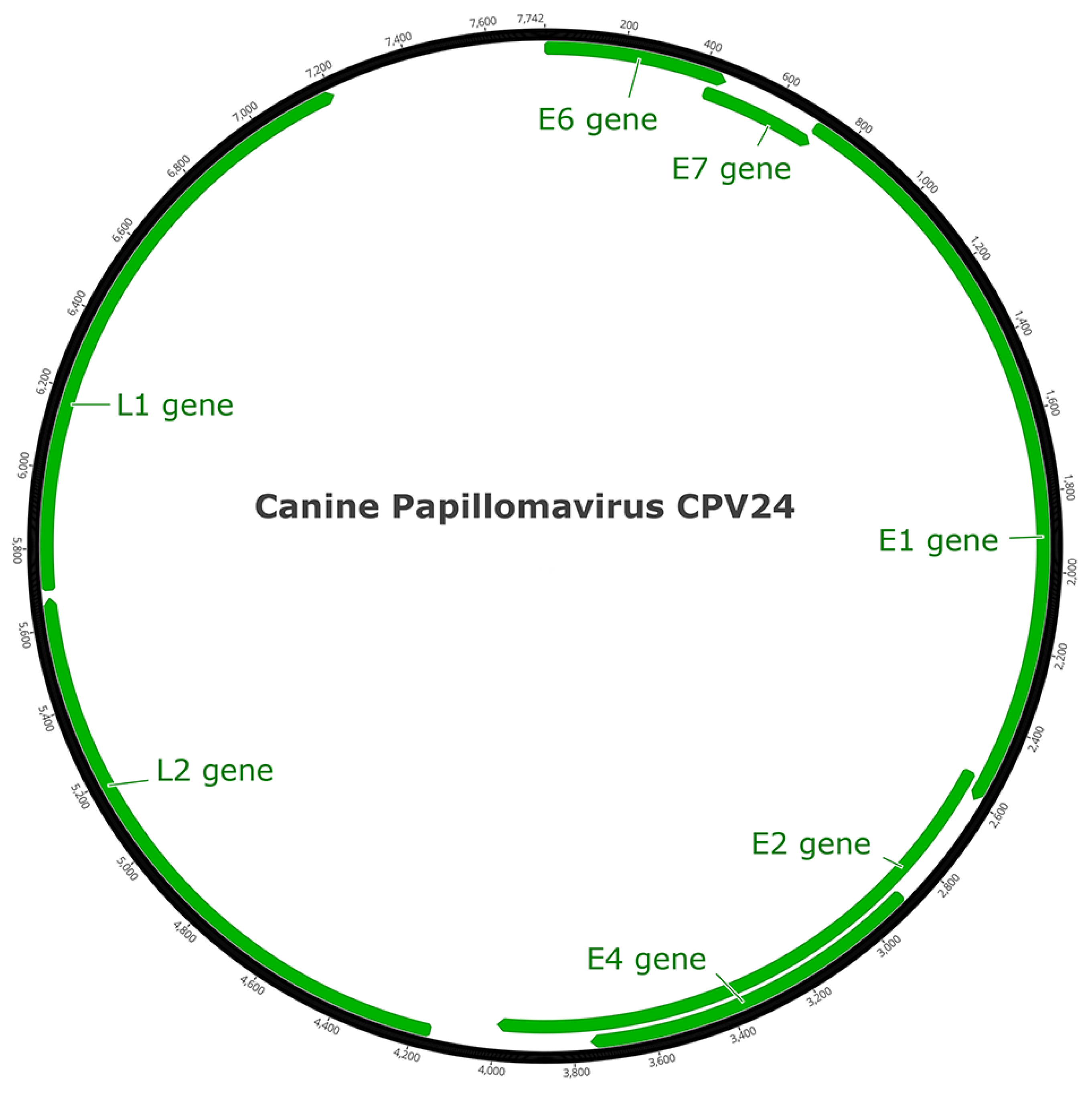 Viruses 14 02357 g002 Viruses 14 02357 g002