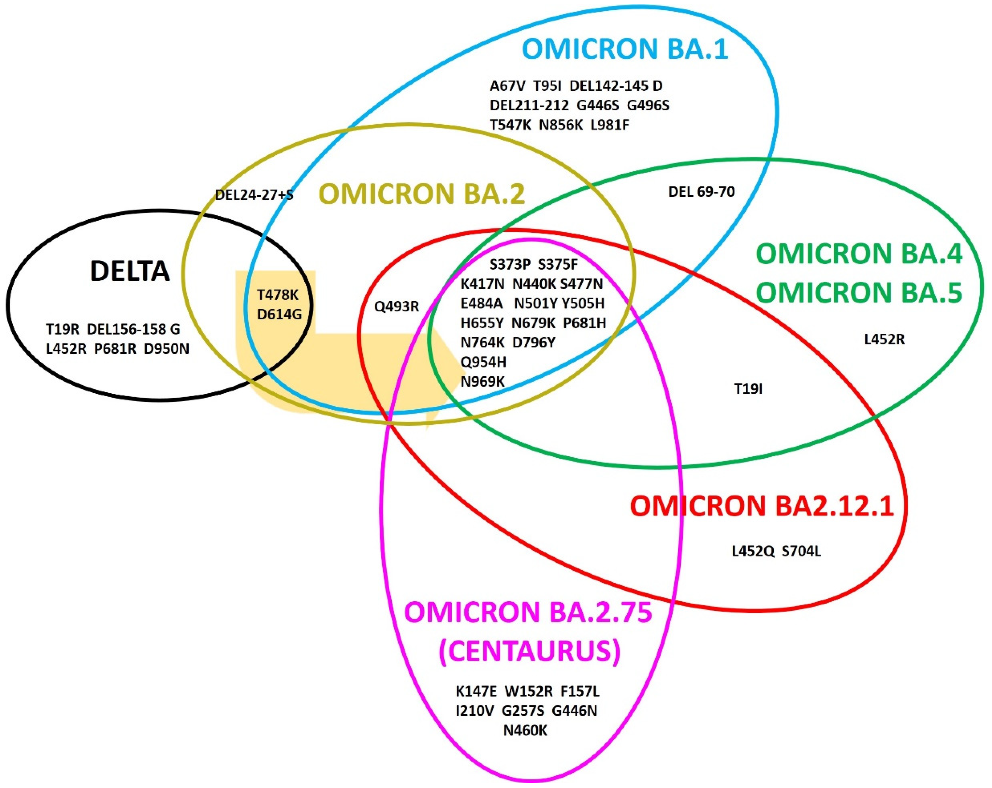 Viruses 14 02364 g001