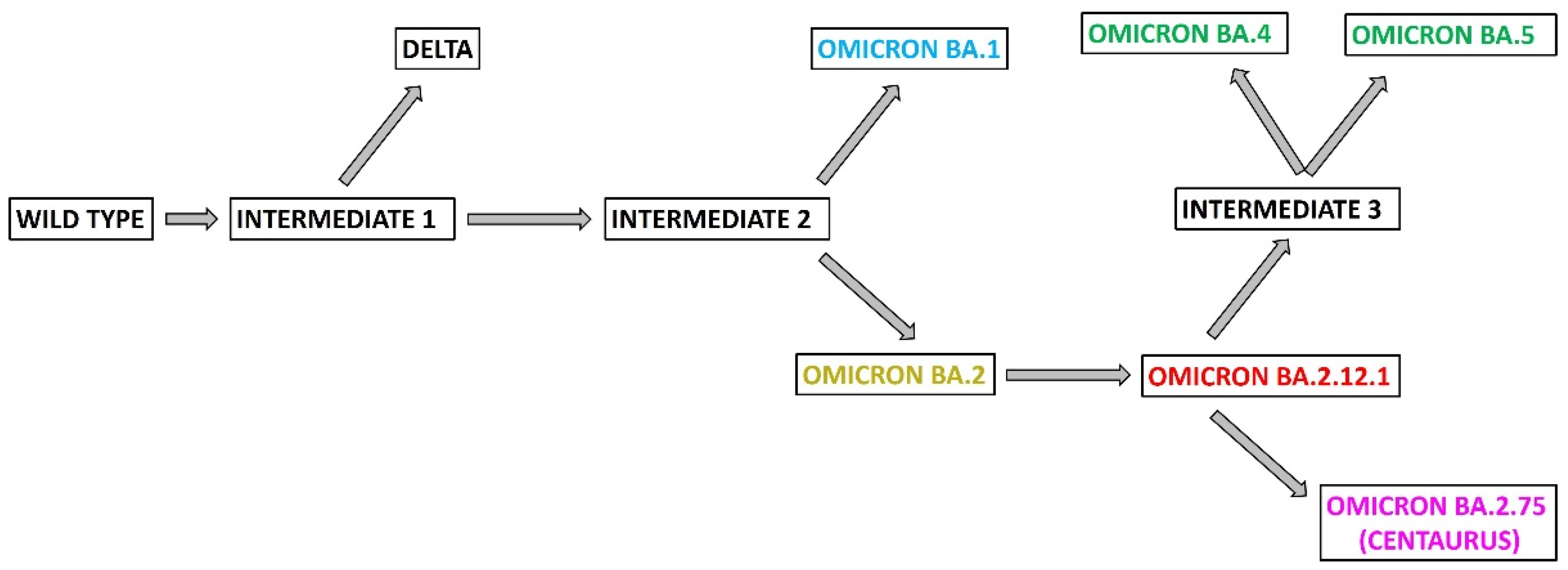 Viruses 14 02364 g002