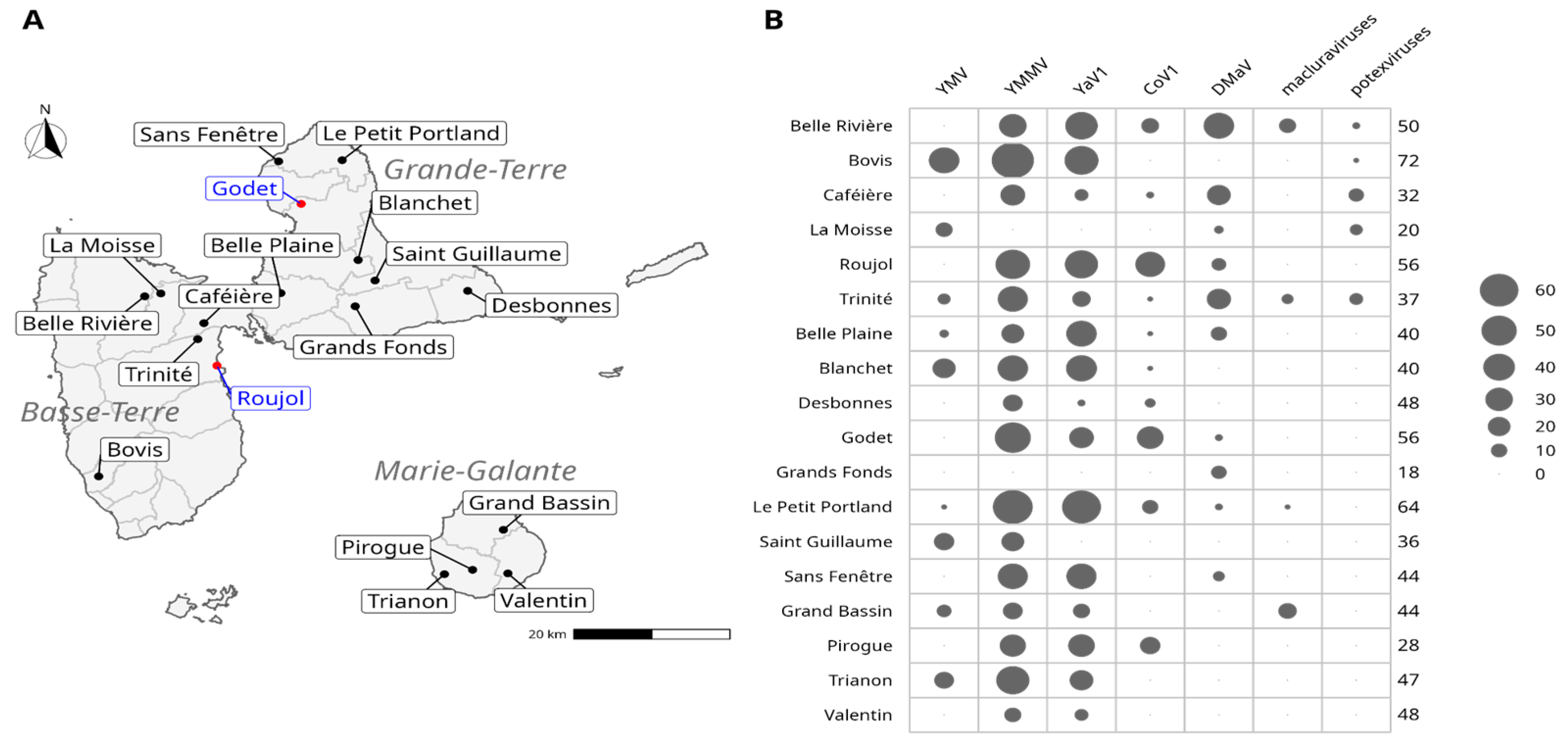Viruses 14 02366 g001