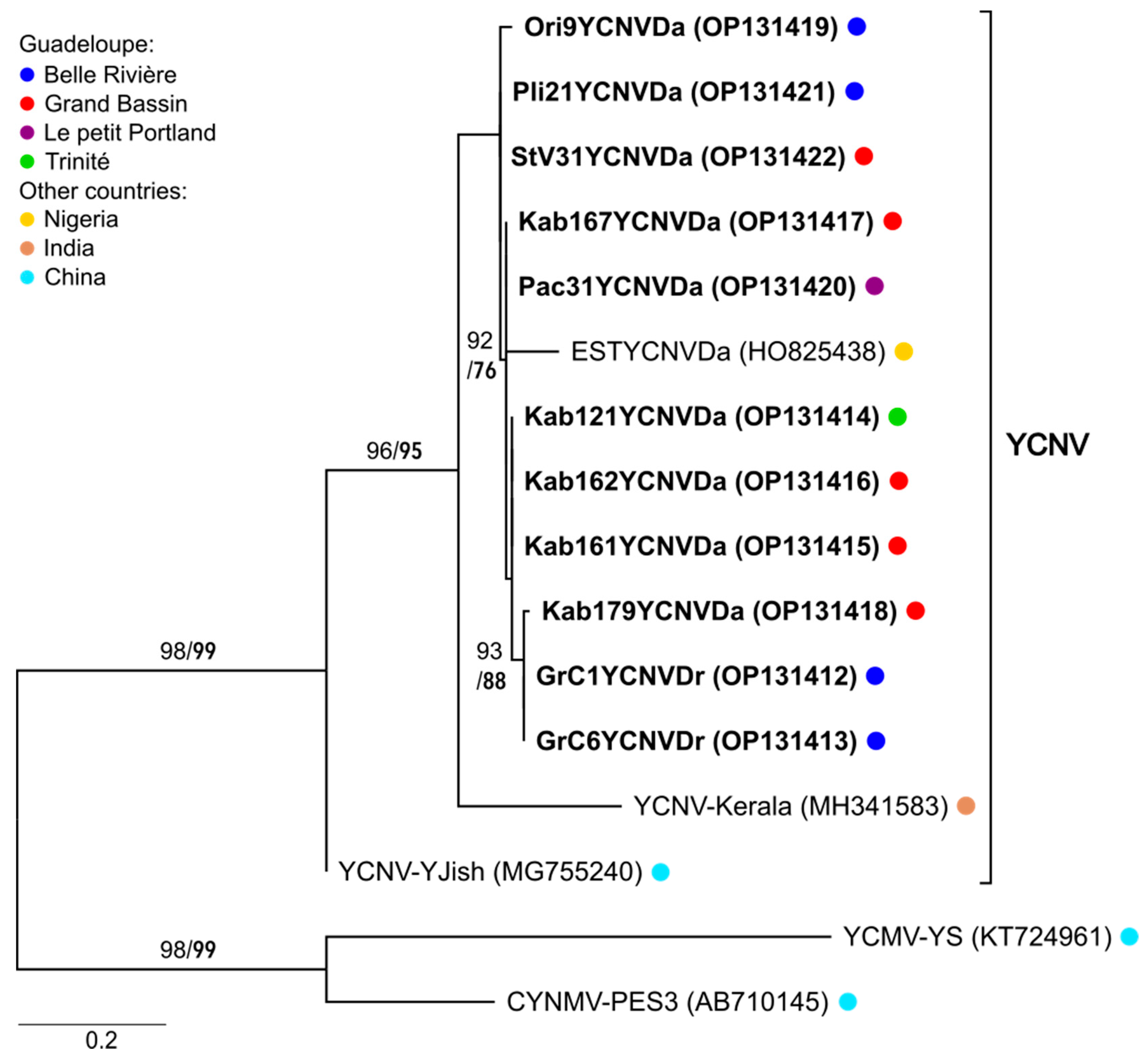 Viruses 14 02366 g004