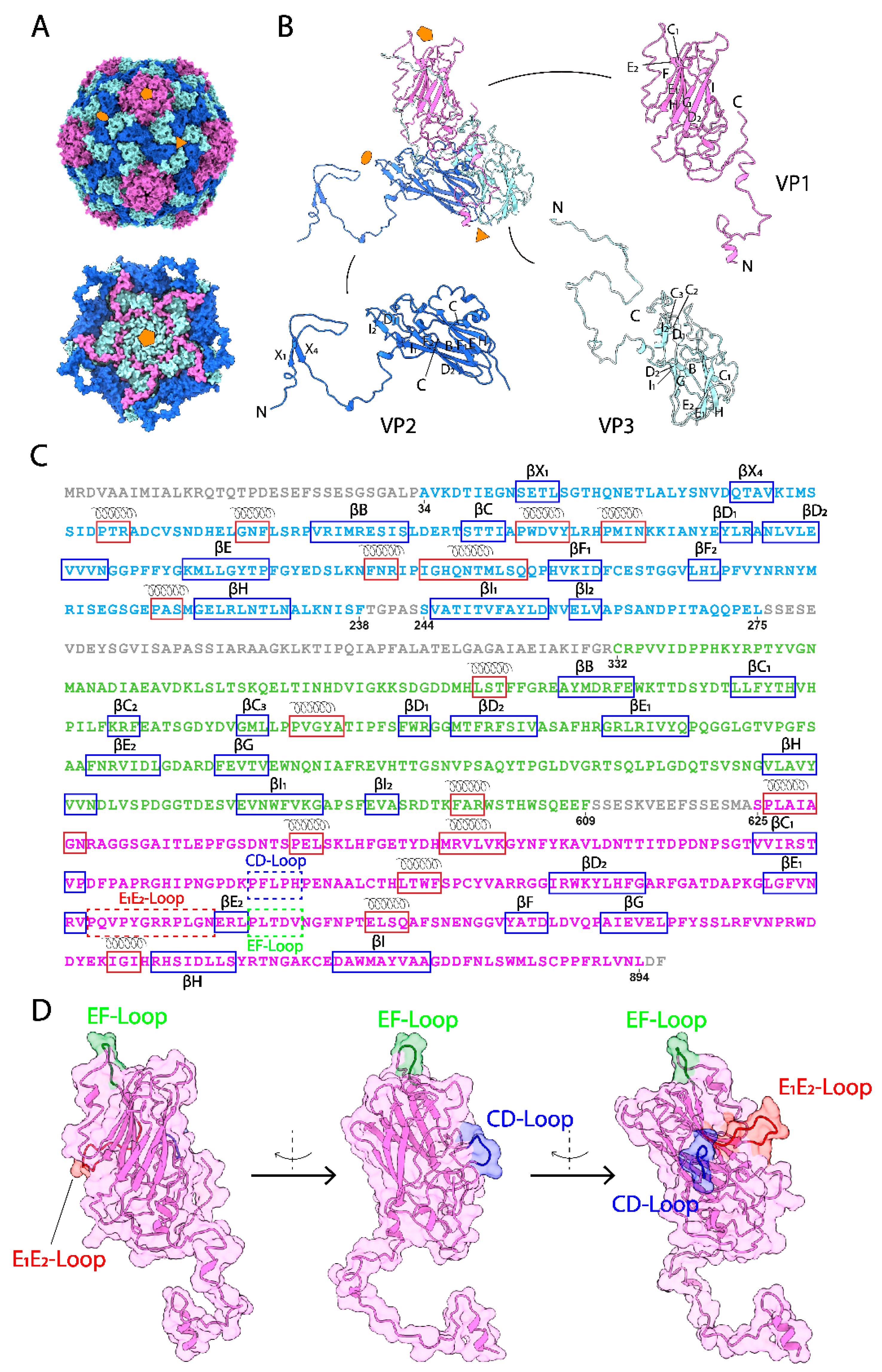 Viruses 14 02369 g001 Viruses 14 02369 g001